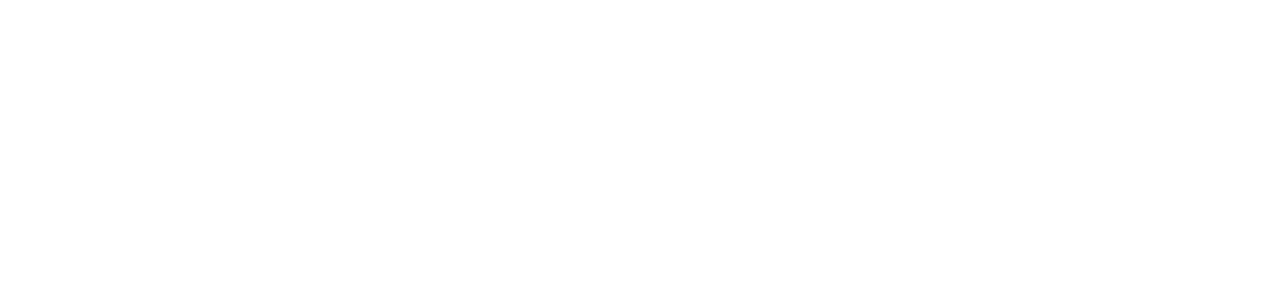 rappor_logo_master_WHITE.png