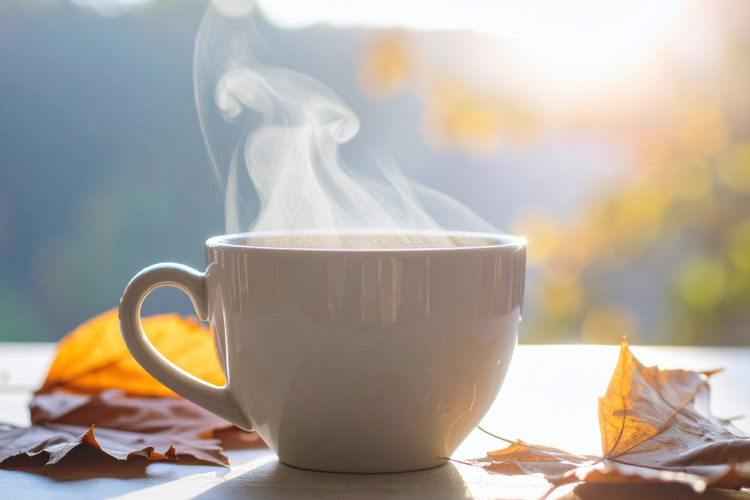 fbe Great Western - Autumn Coffee morning in Bath