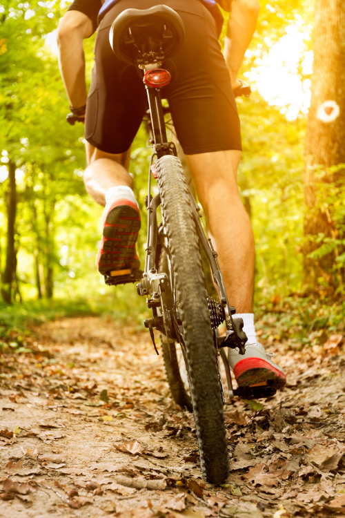 MTB VERT.png