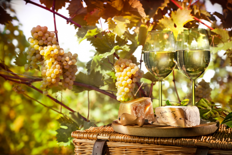 Cheese & Wine.png