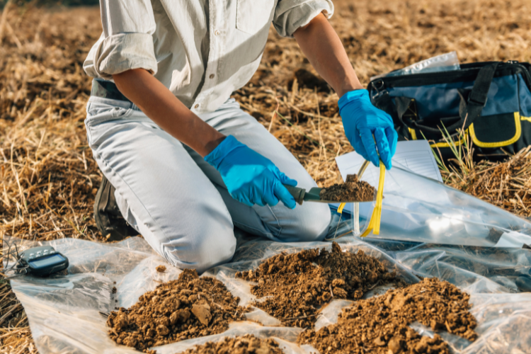 Land remediation.png