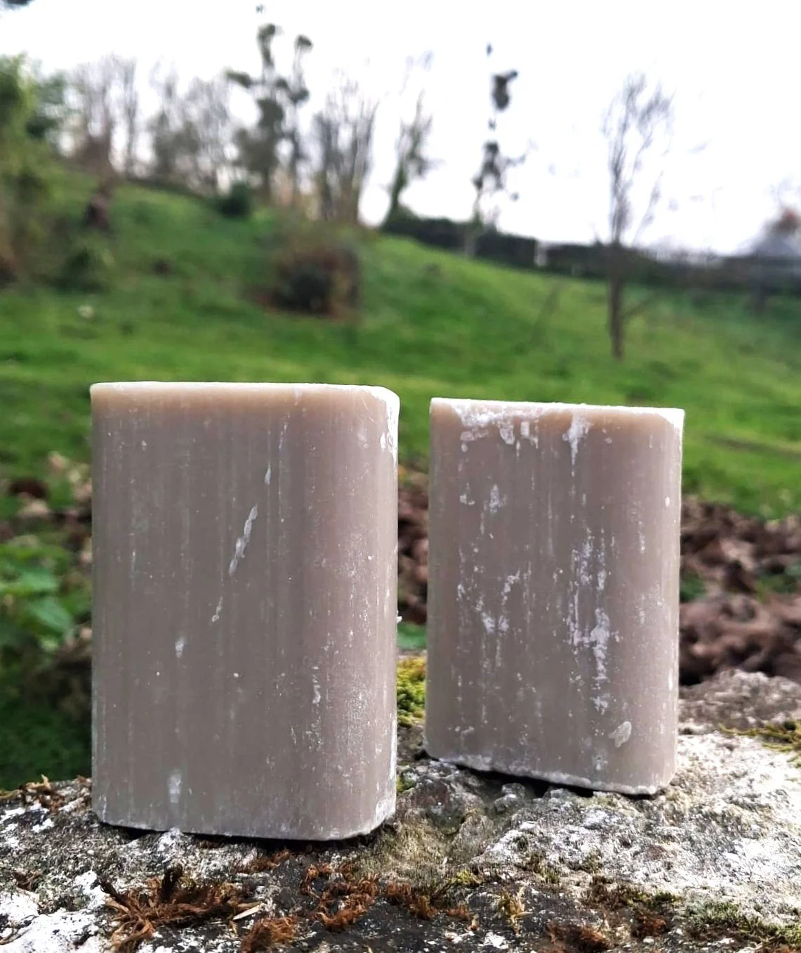 Lot de 2 Savons détachants + le 3ème offert