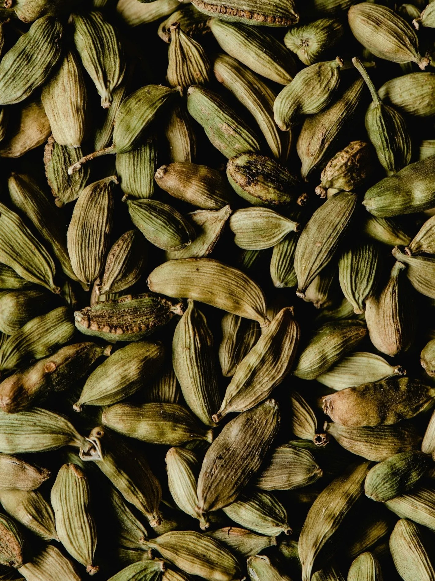 Warm, spicy, and irresistibly inviting &mdash; cardamom is one of India&rsquo;s most treasured spices.

For centuries, it has flavoured royal feasts, perfumed ancient markets, and lingered in the air of palaces.

In Kāyura perfumes, cardamom adds dep
