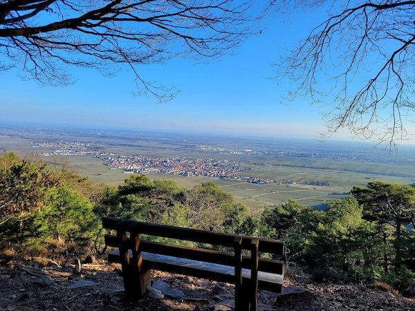 März Wanderung Pfalz