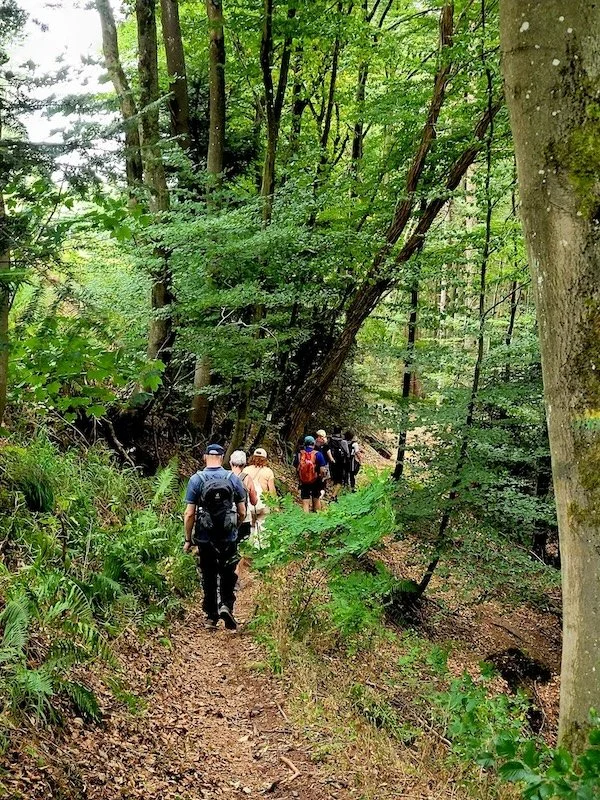 Klaus Wanderung Juni.jpeg