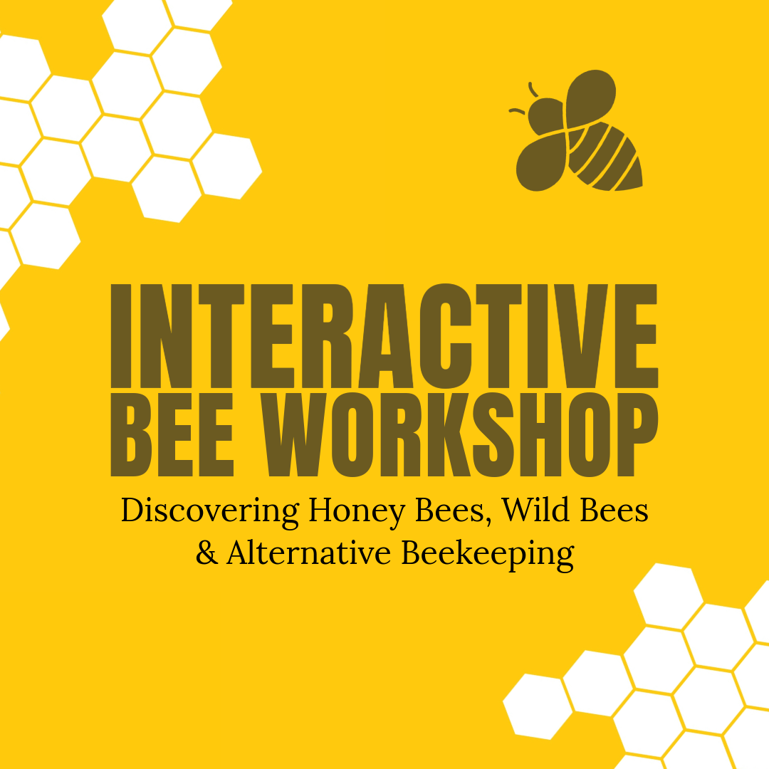 Discovering Honey Bees, Wild Bees &amp; alternative Beekeeping