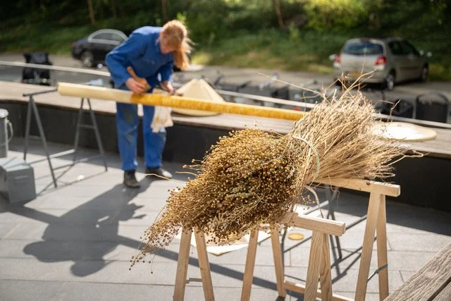 LR_vanplanttotpenseelnaarpubliek_2025_foto_door_sandervanwettum (11 of 38).jpeg