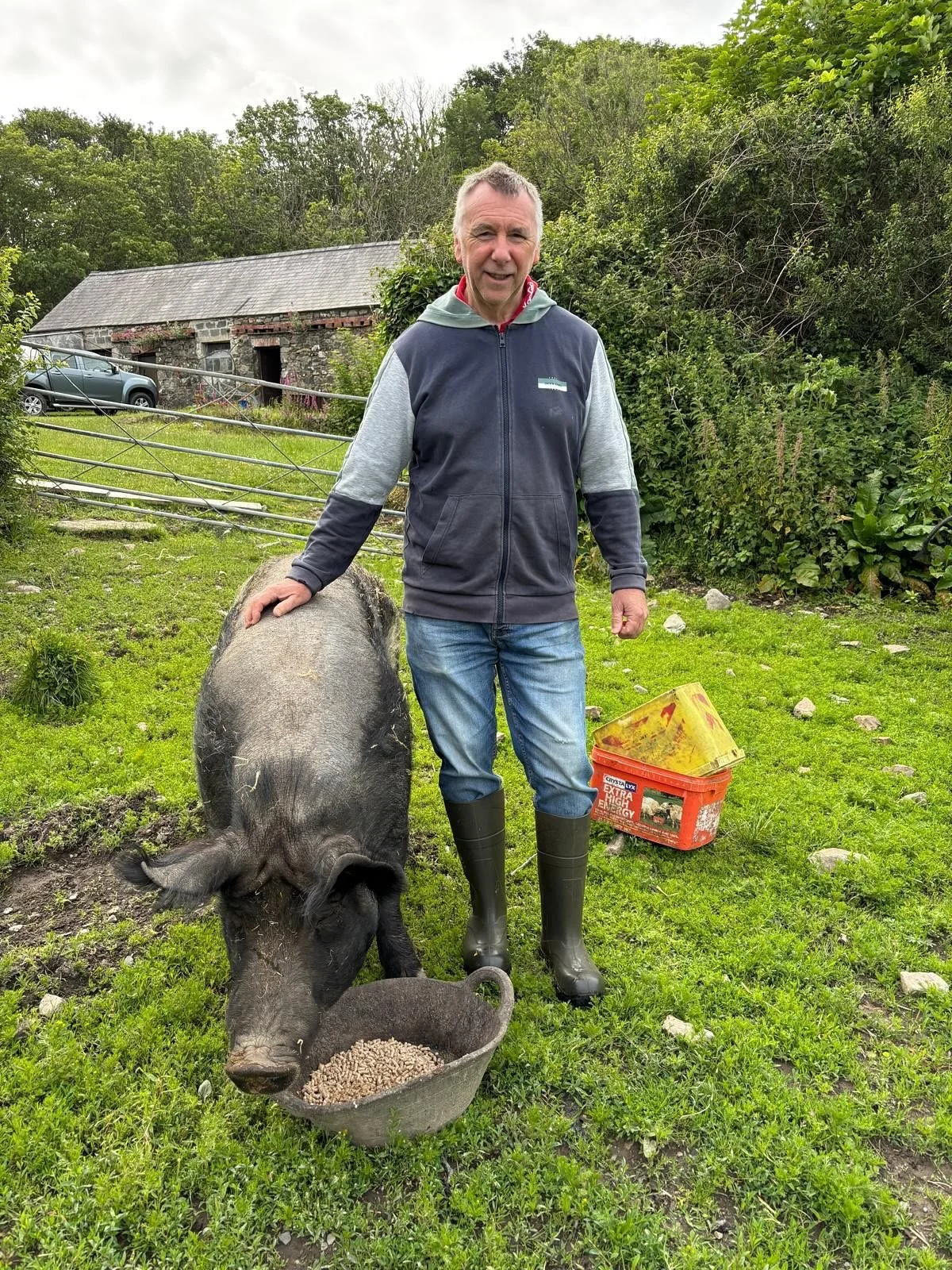 A man standing outdoors on green grass, wearing a dark hoodie and jeans, with black rubber boots, next to a pig eating from a bowl of grains. There is a barn, a car, and trees in the background.