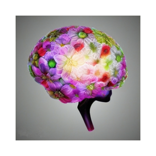 Comprehensive Assessment (Autism only $1,900 or Autism and ADHD combined $2,150)