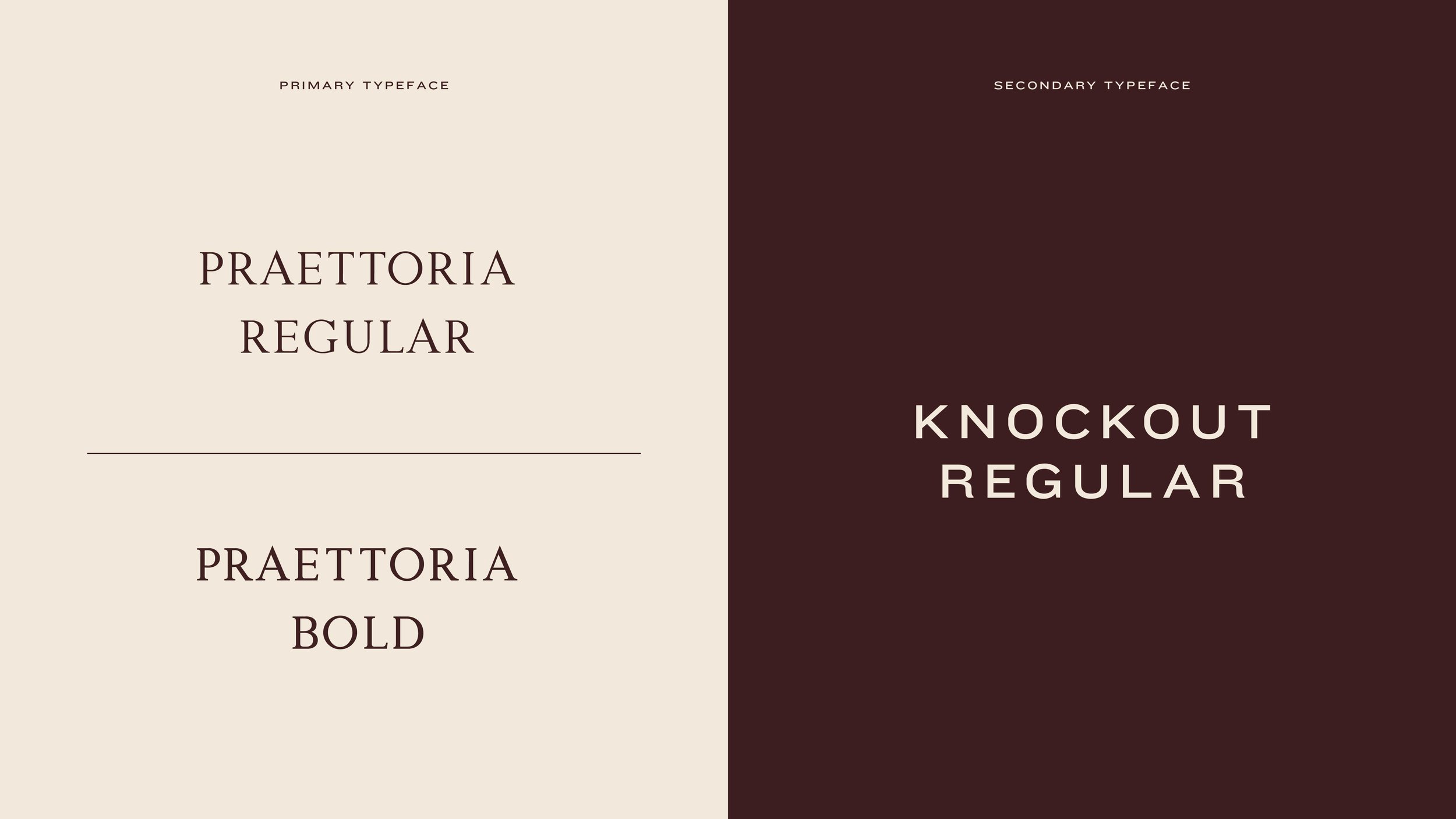 Belvedere 176_Portfolio_Page_V2-07.jpg