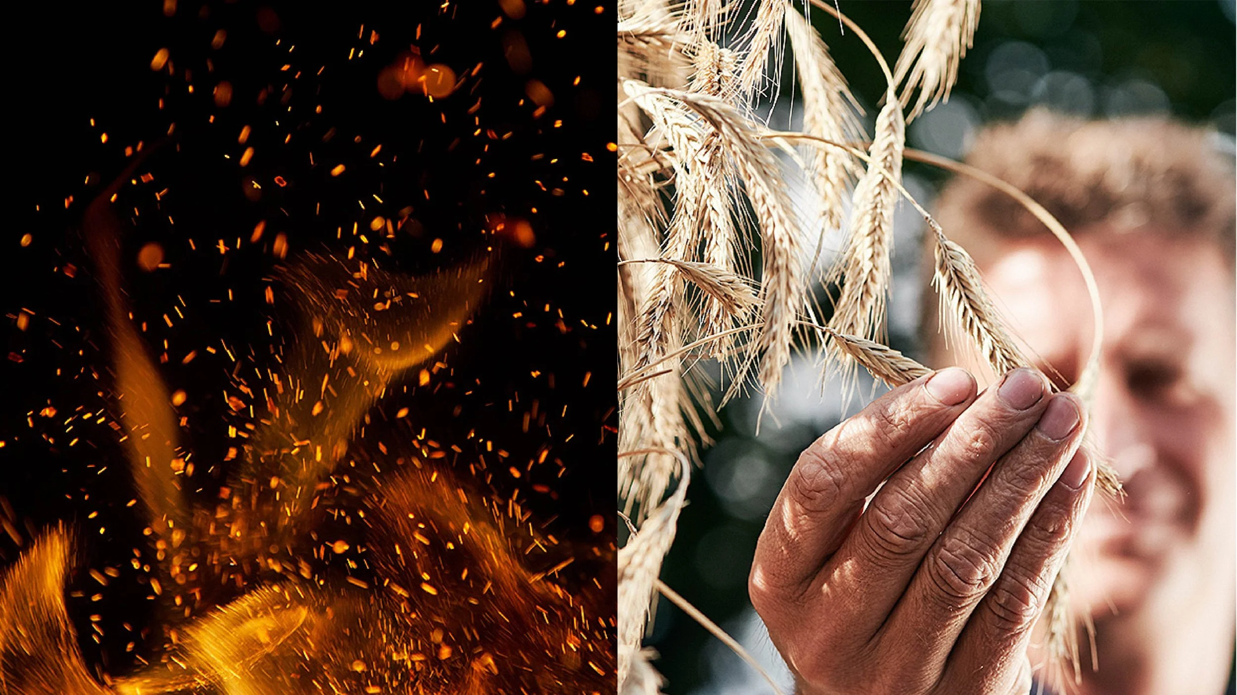 Belvedere 176_Portfolio_Page_V2-03.jpg