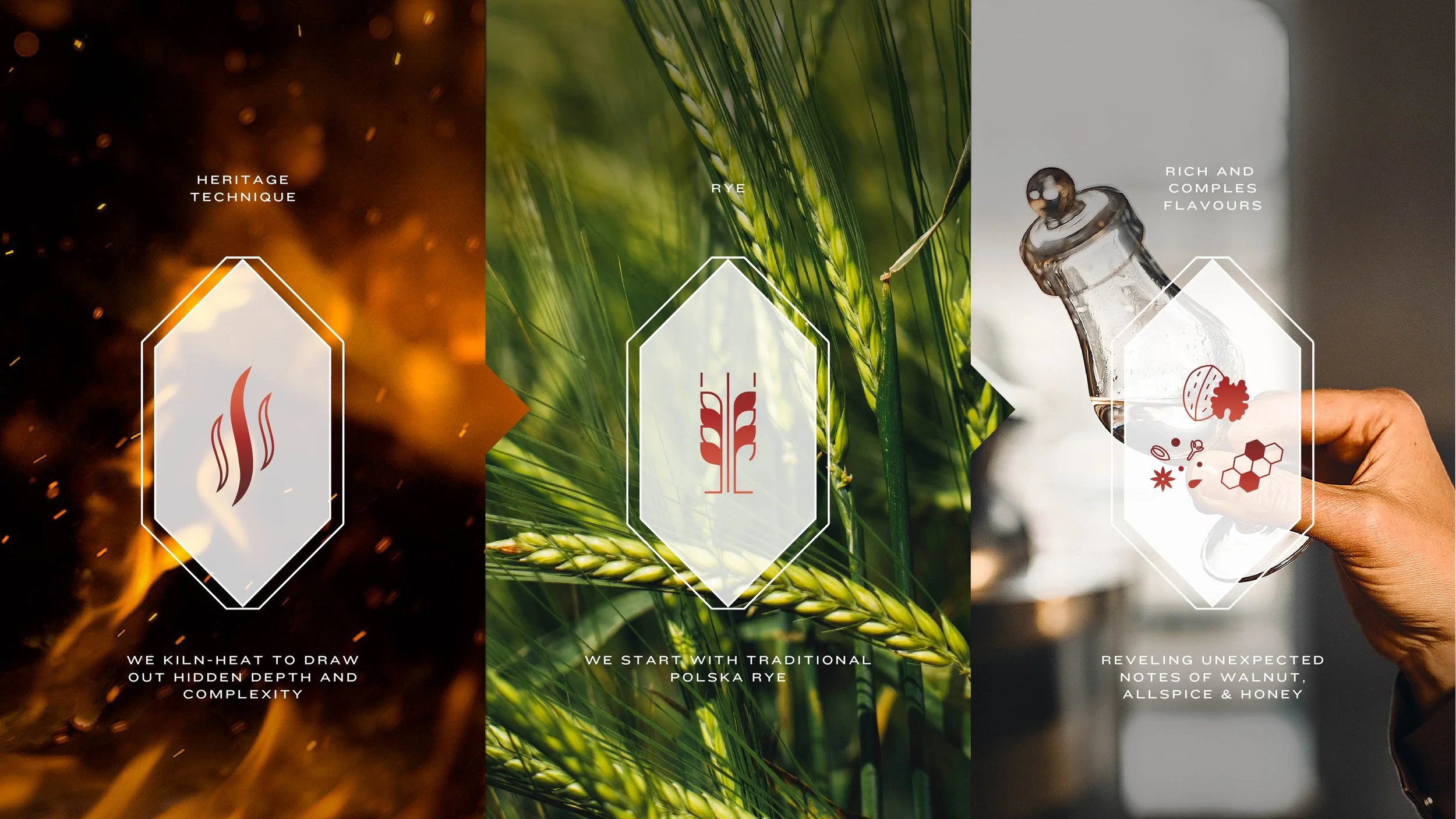 Belvedere 176_Portfolio_Page_V2-06.jpg