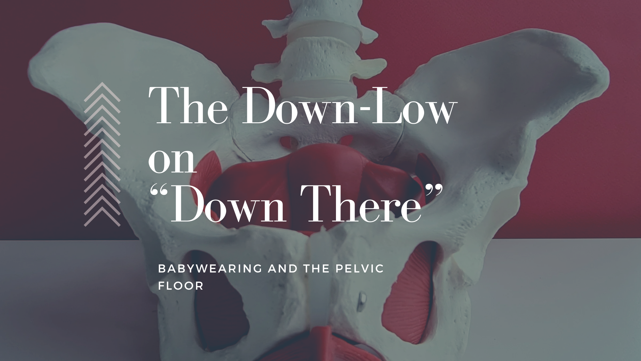 The Down-Low on "Down There": Babywearing &amp; Your Pelvic Floor