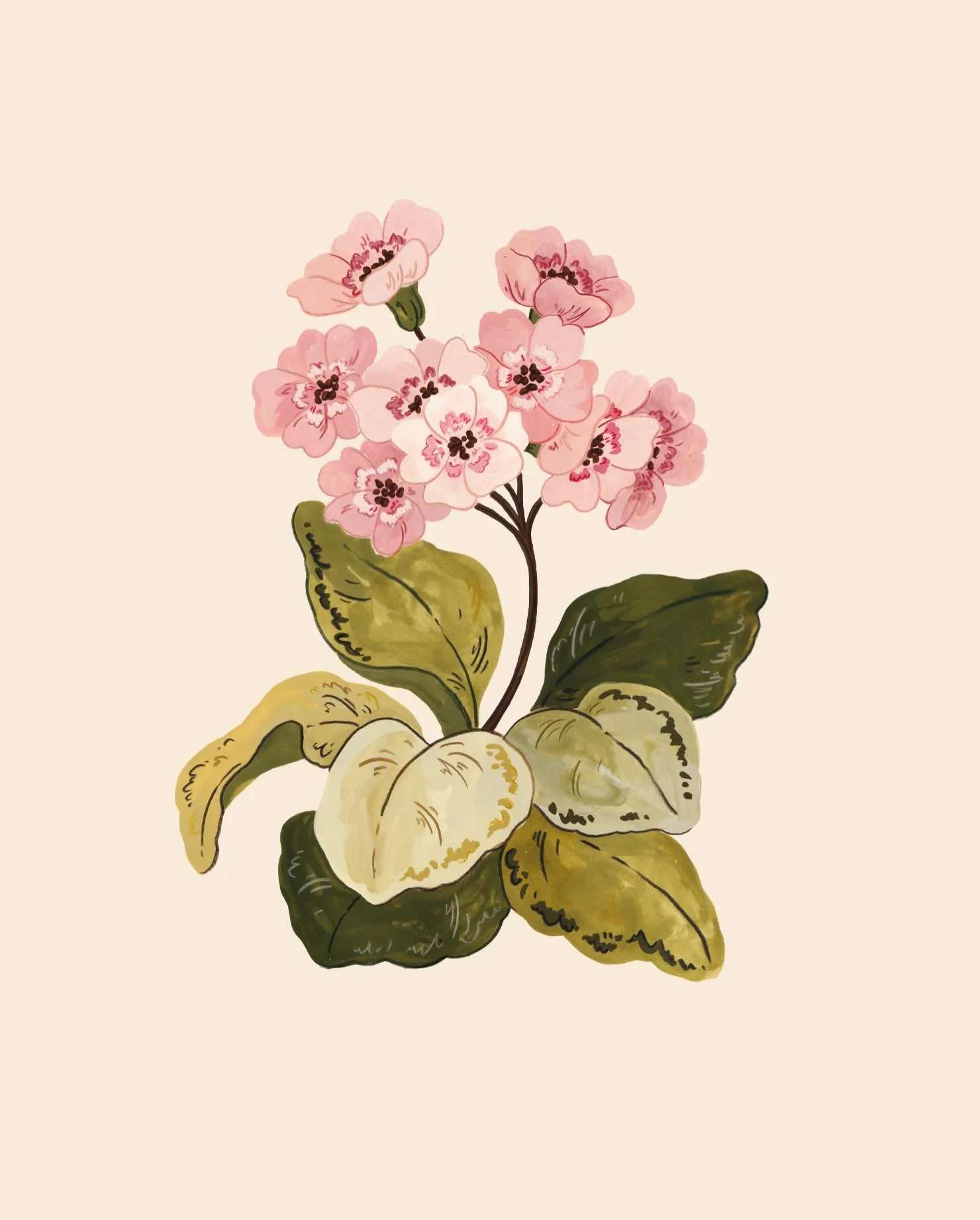 I spent this morning making art with some friends and added this little floral piece to this growing collection 🌸 these are all going to feature on the new card designs ☀️