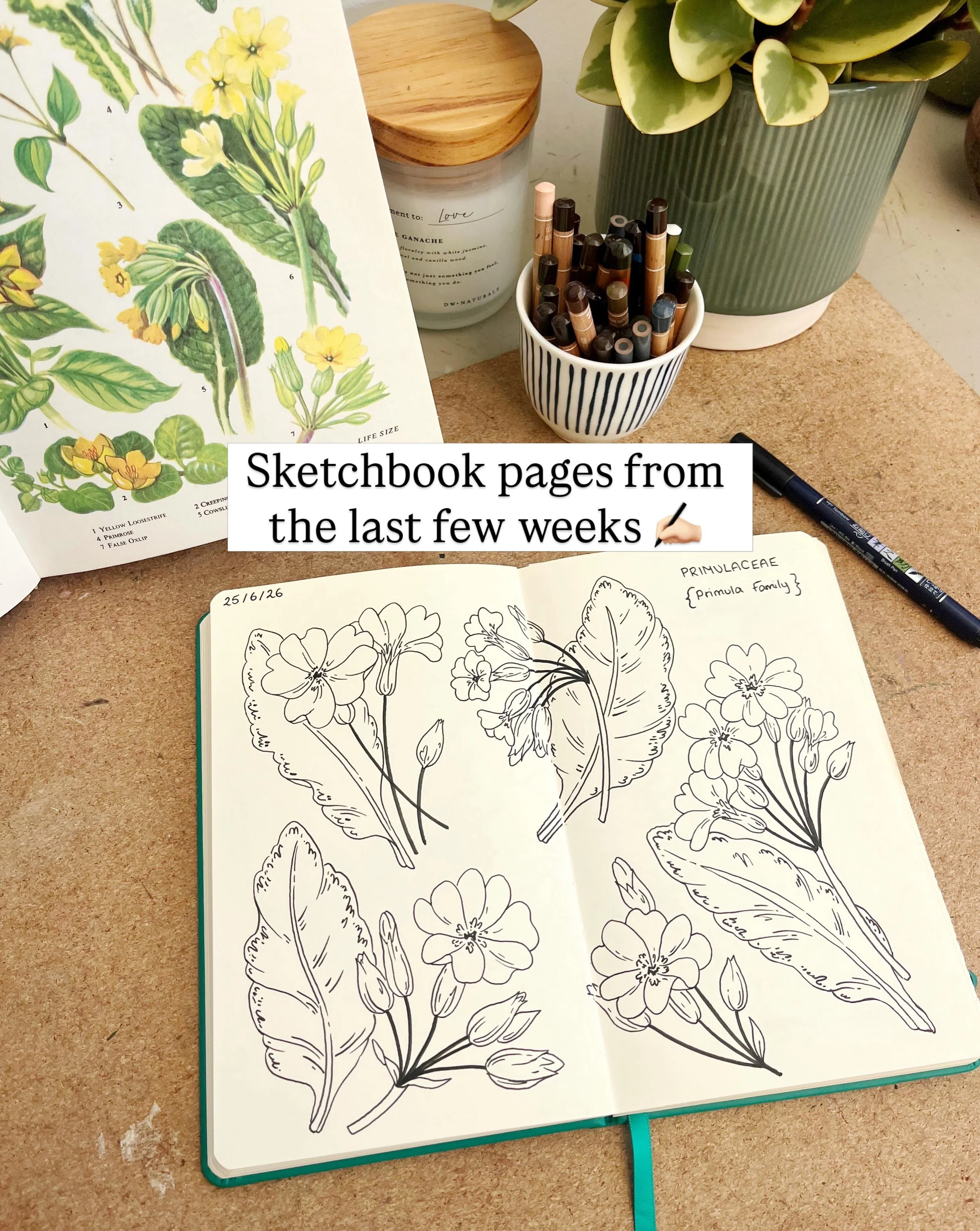 Lots of florals in my sketchbook over the last few weeks 🌸 ✍🏻