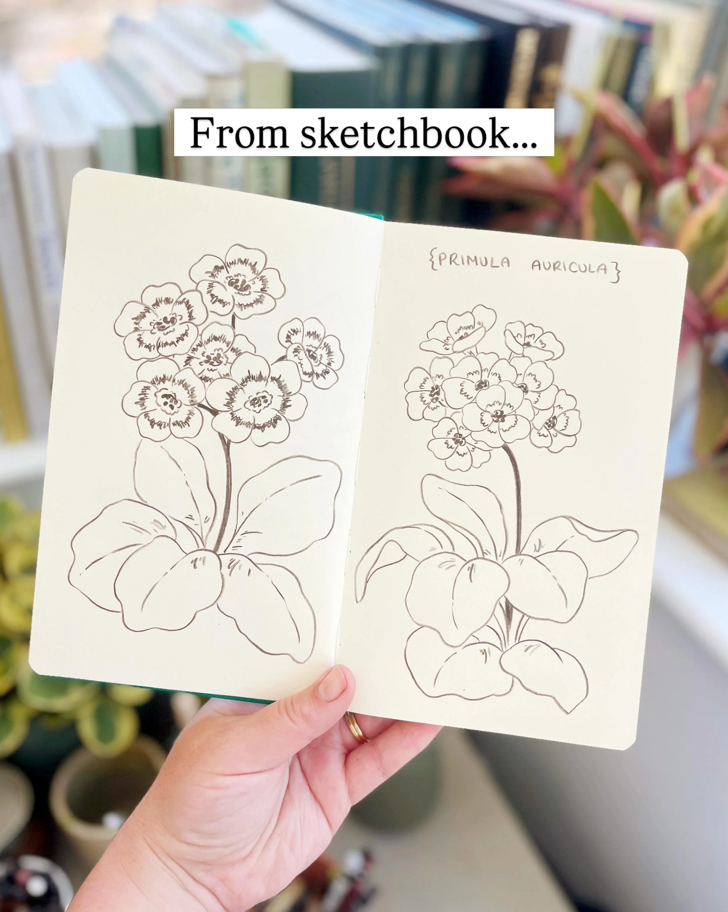 From sketchbook, to painting, to finished greetings card 🌸✍🏻