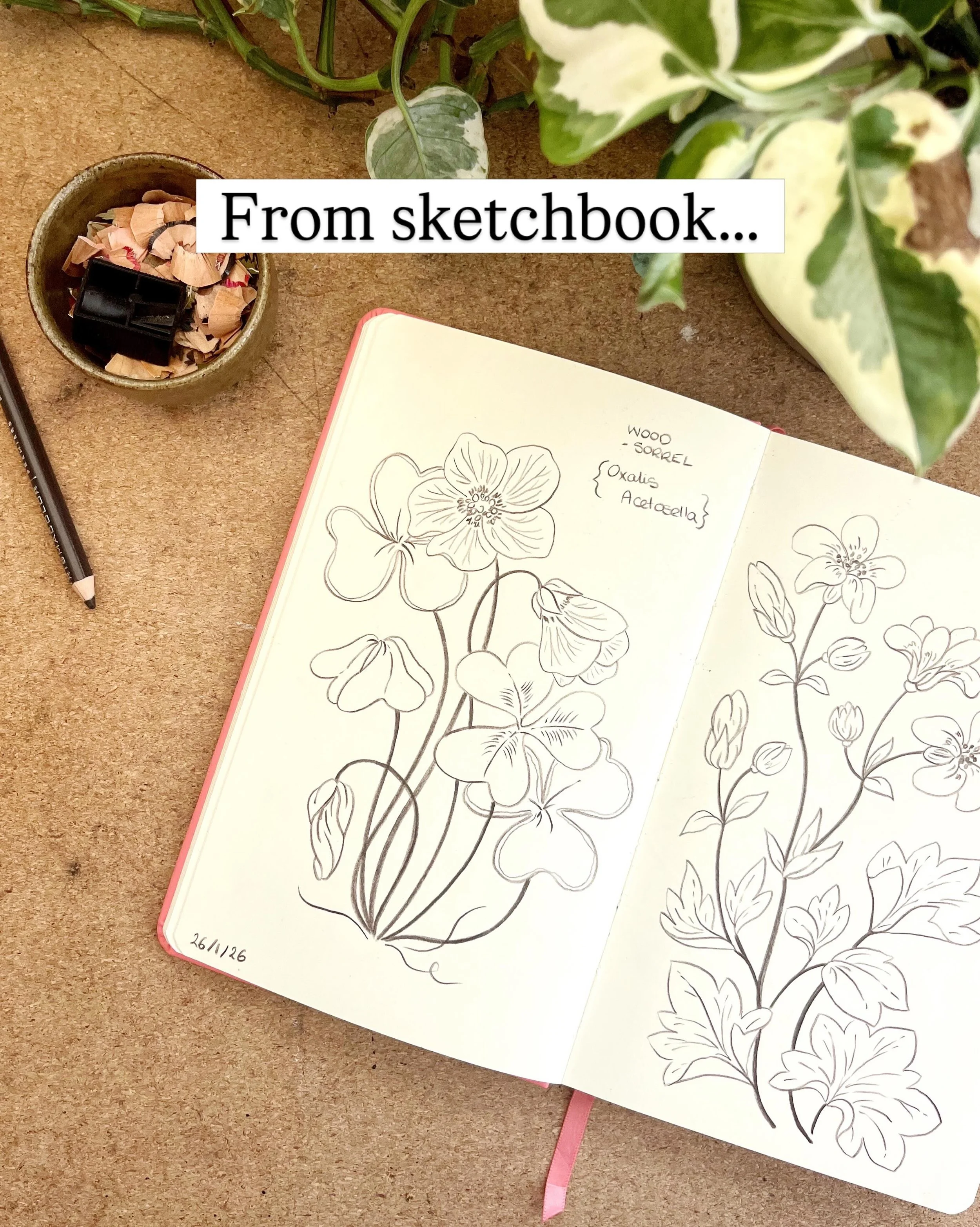 From my sketchbook to a finished greetings card ✍🏻 🌸