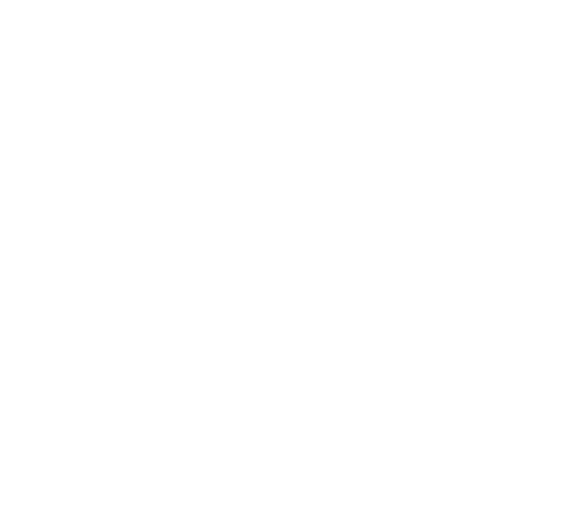 Skylark Pelvic Health pelvis graphic in white.
