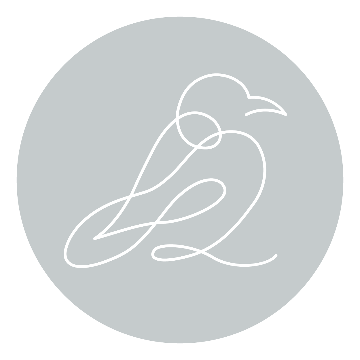 Skylark Pelvic Health submark logo in blue.