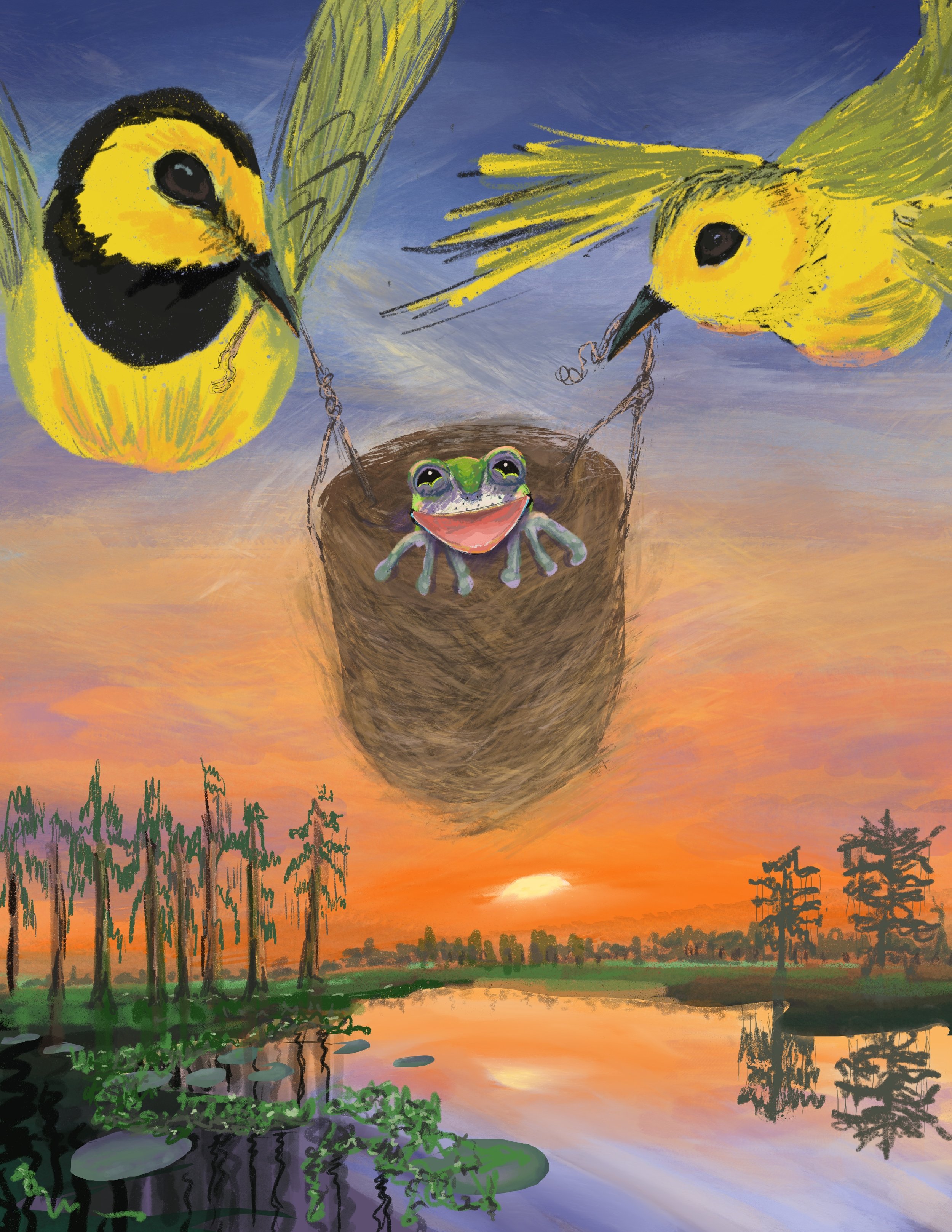 Frog being carried - mouth open.jpg