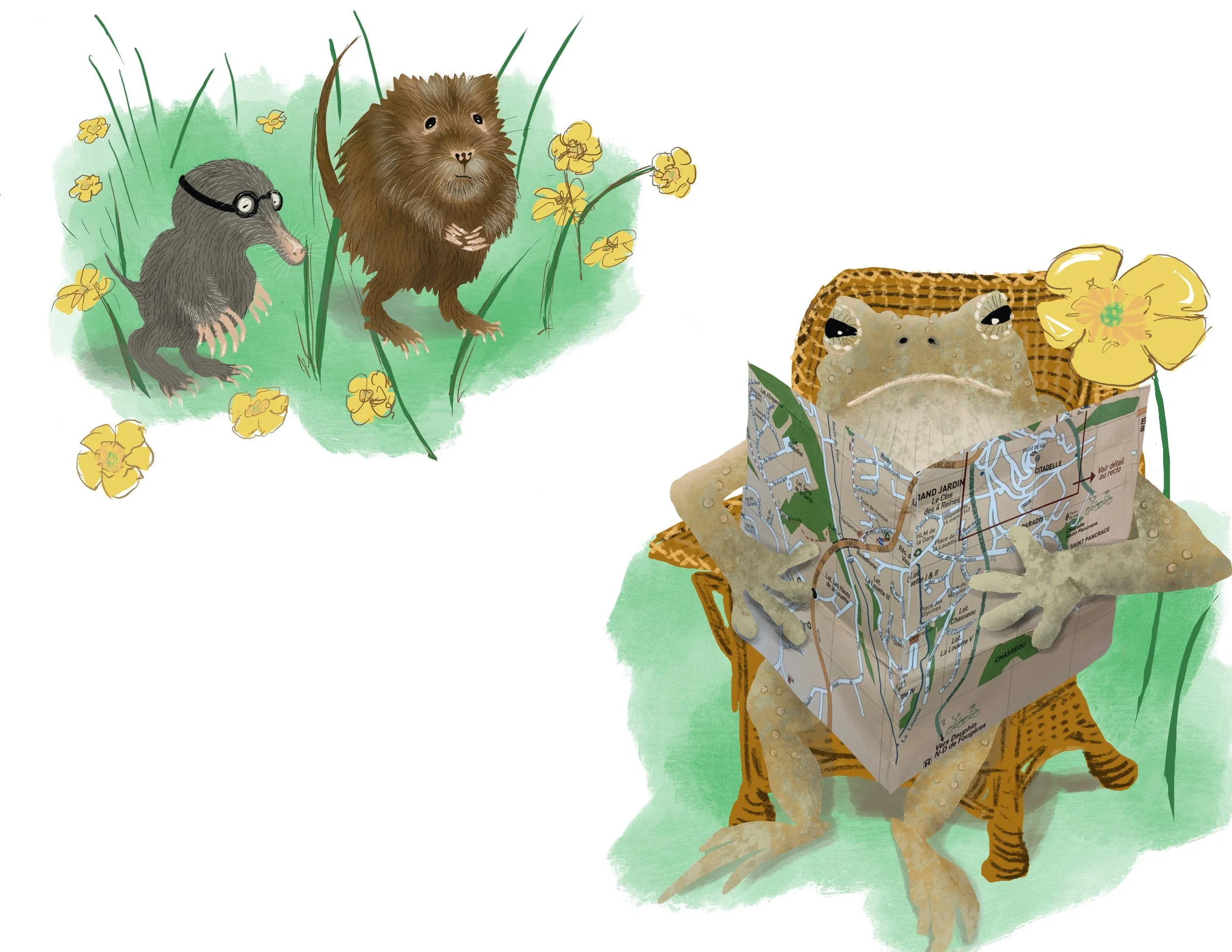 Toad w Map - Ratty and Mole.JPEG