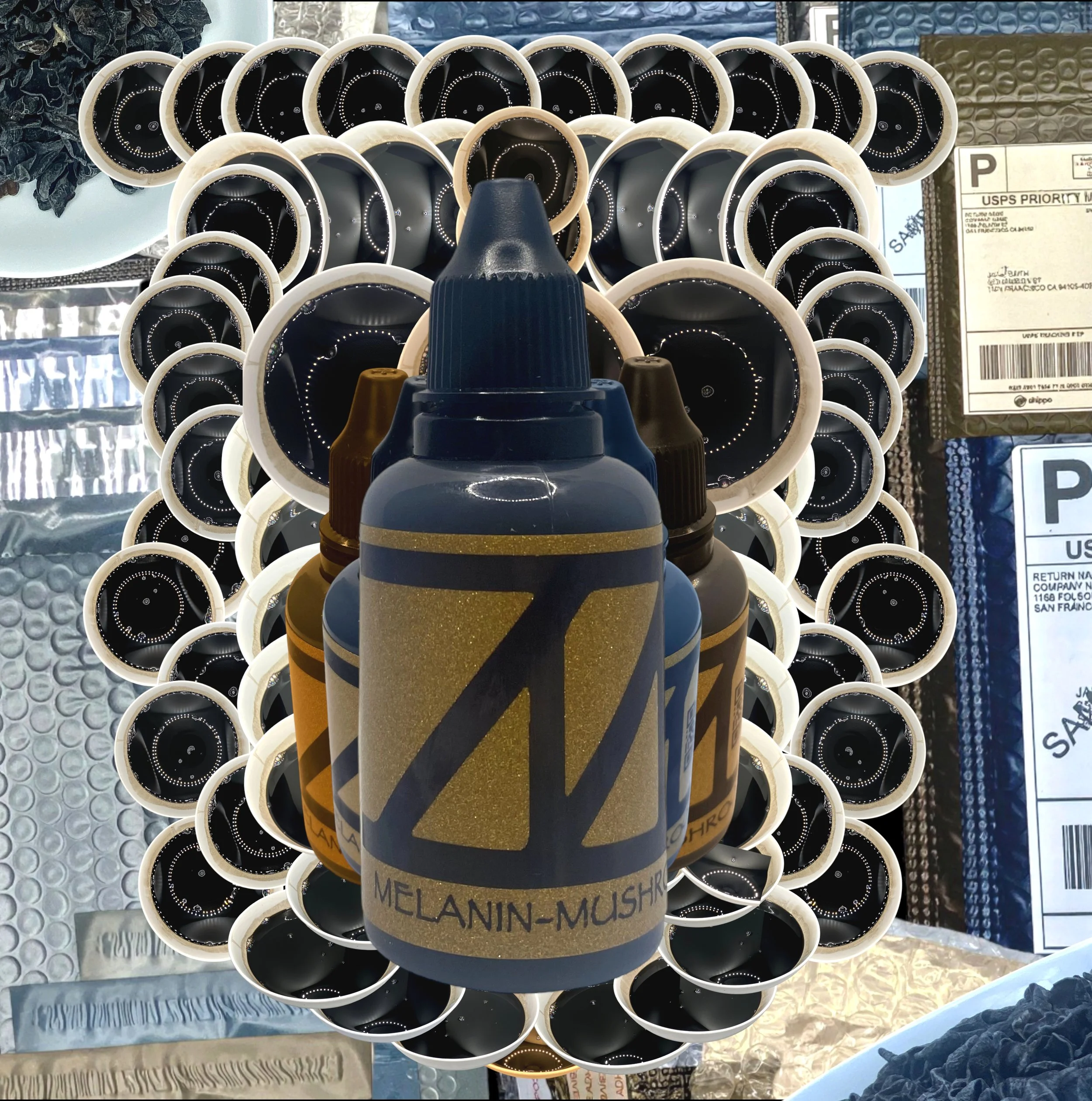 MUSHROOM 10Z brightened.JPG