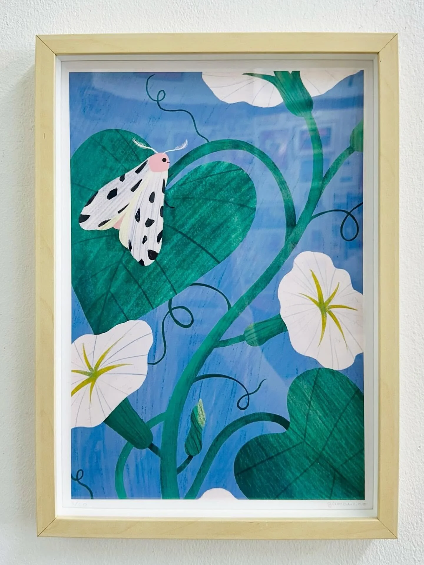 Fauna&Flora_ógaleria9.jpg