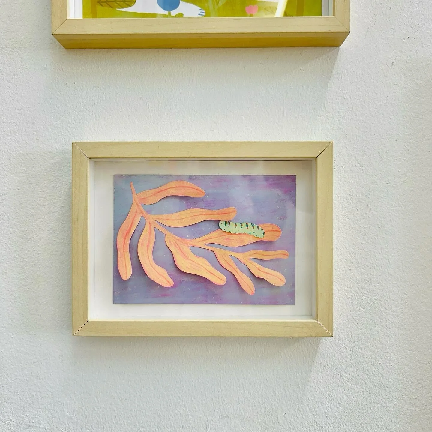 Fauna&Flora_ógaleria4.jpg