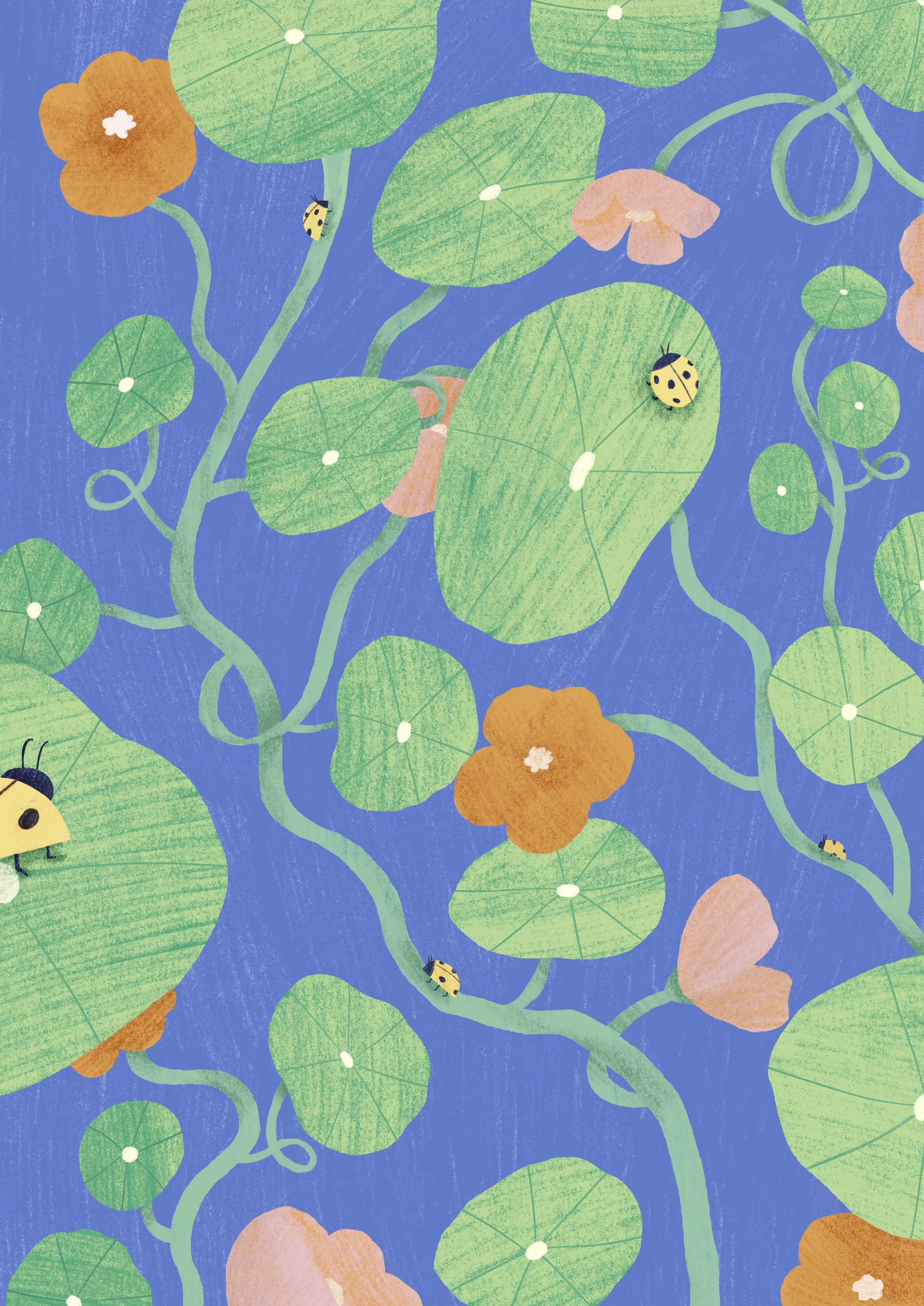 Journey of the ladybugs plants whymsical illustration kid lit gambuzino fauna & flora ó galeria Mully