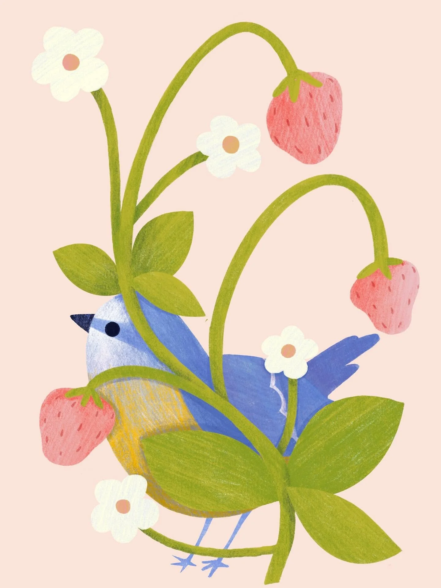 fauna&flora1.jpg