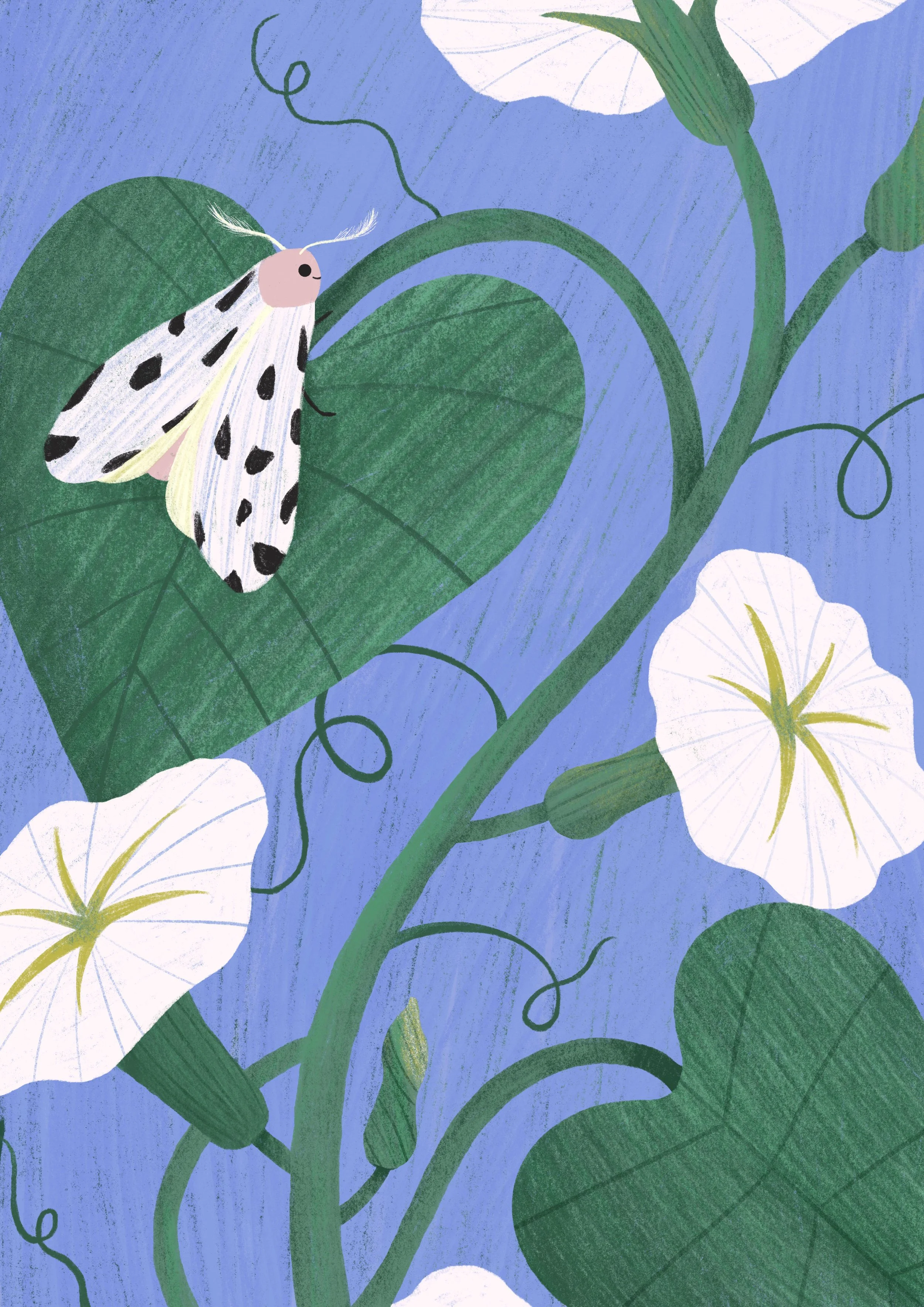 A Traça-Leopardo e as Flores-da-Lua.jpg