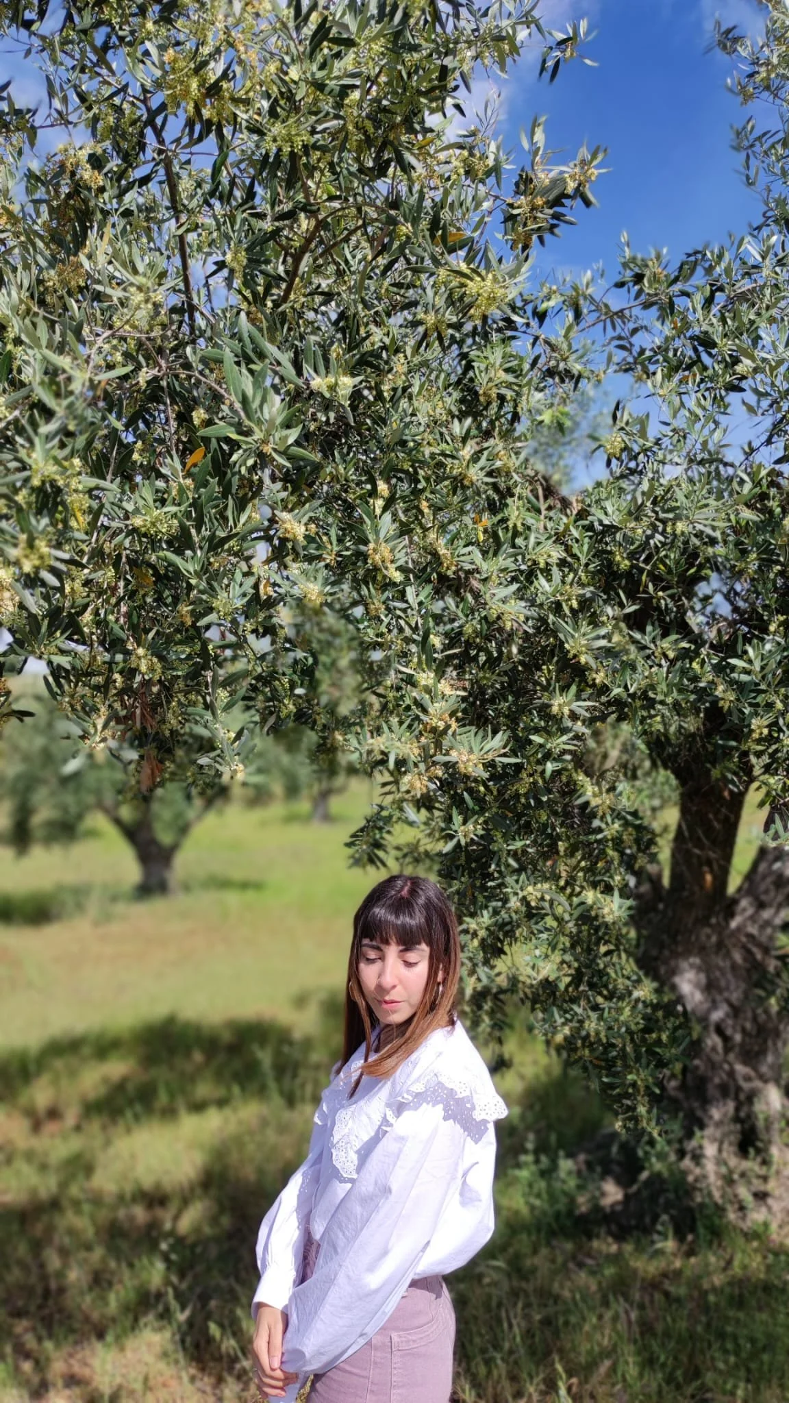 Gambuzino in Alentejo