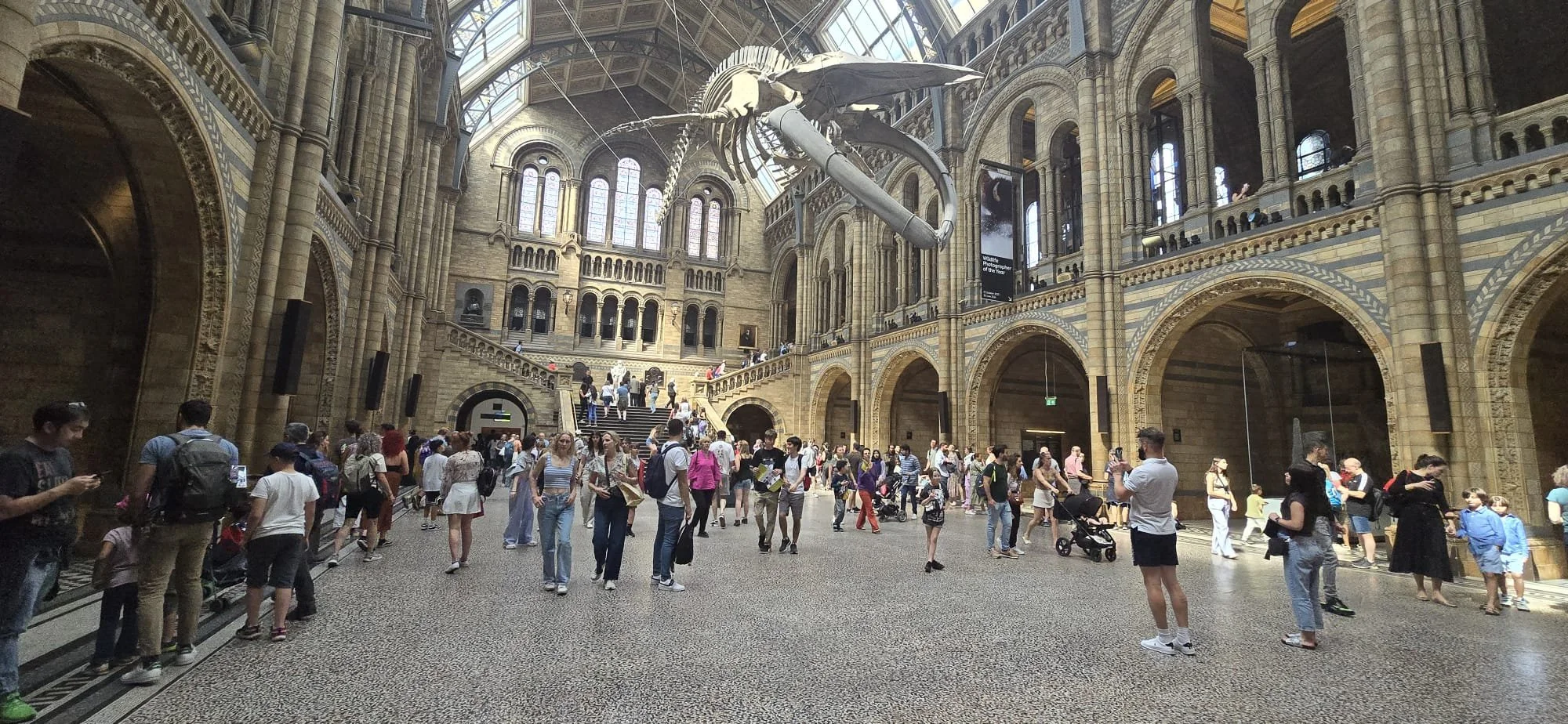 Inside the Natural History Museum with a large whale skeleton suspended from the ceiling and many visitors exploring the space.