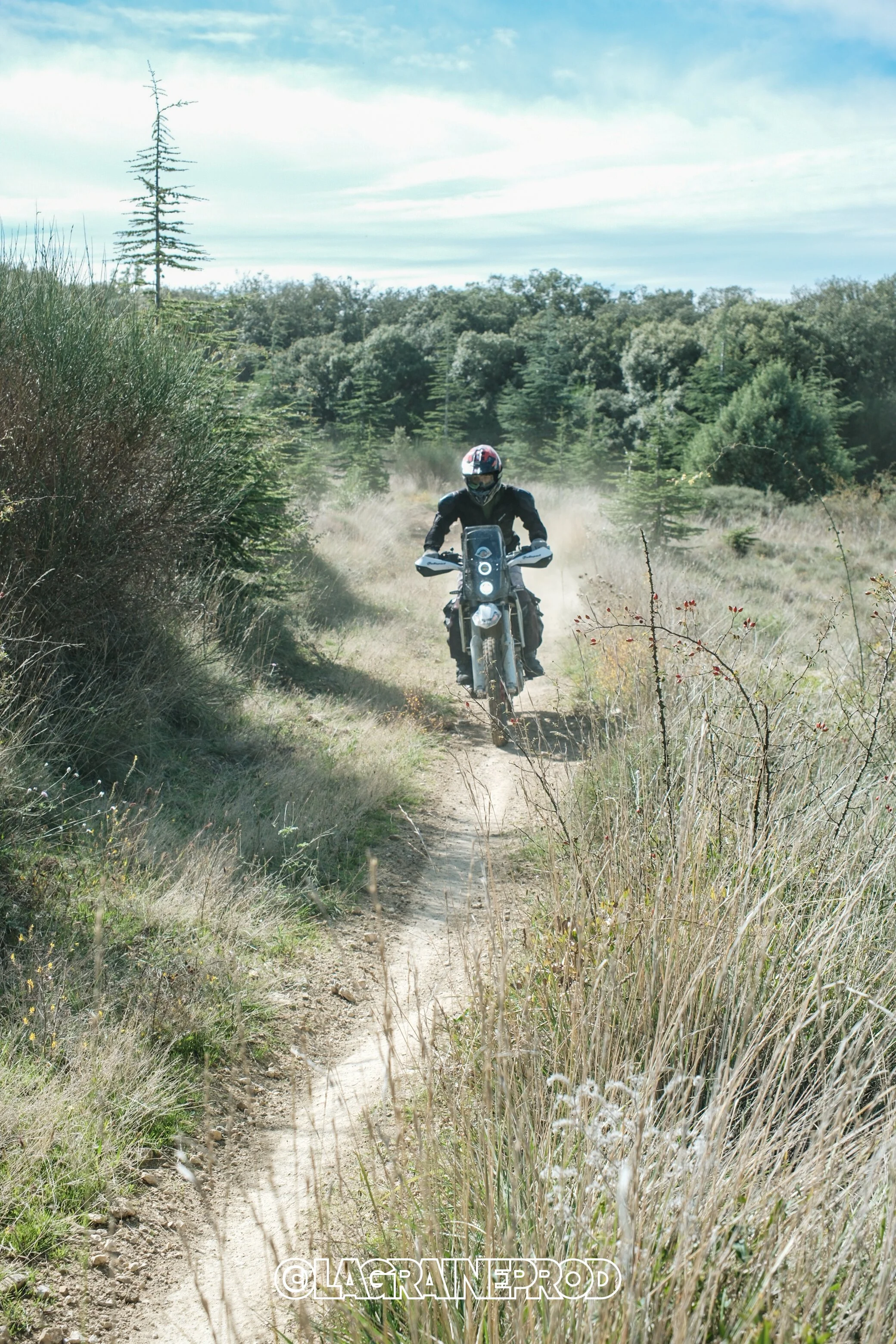 Motard traversant un sentier en forêt avec des arbres et des buissons autour 