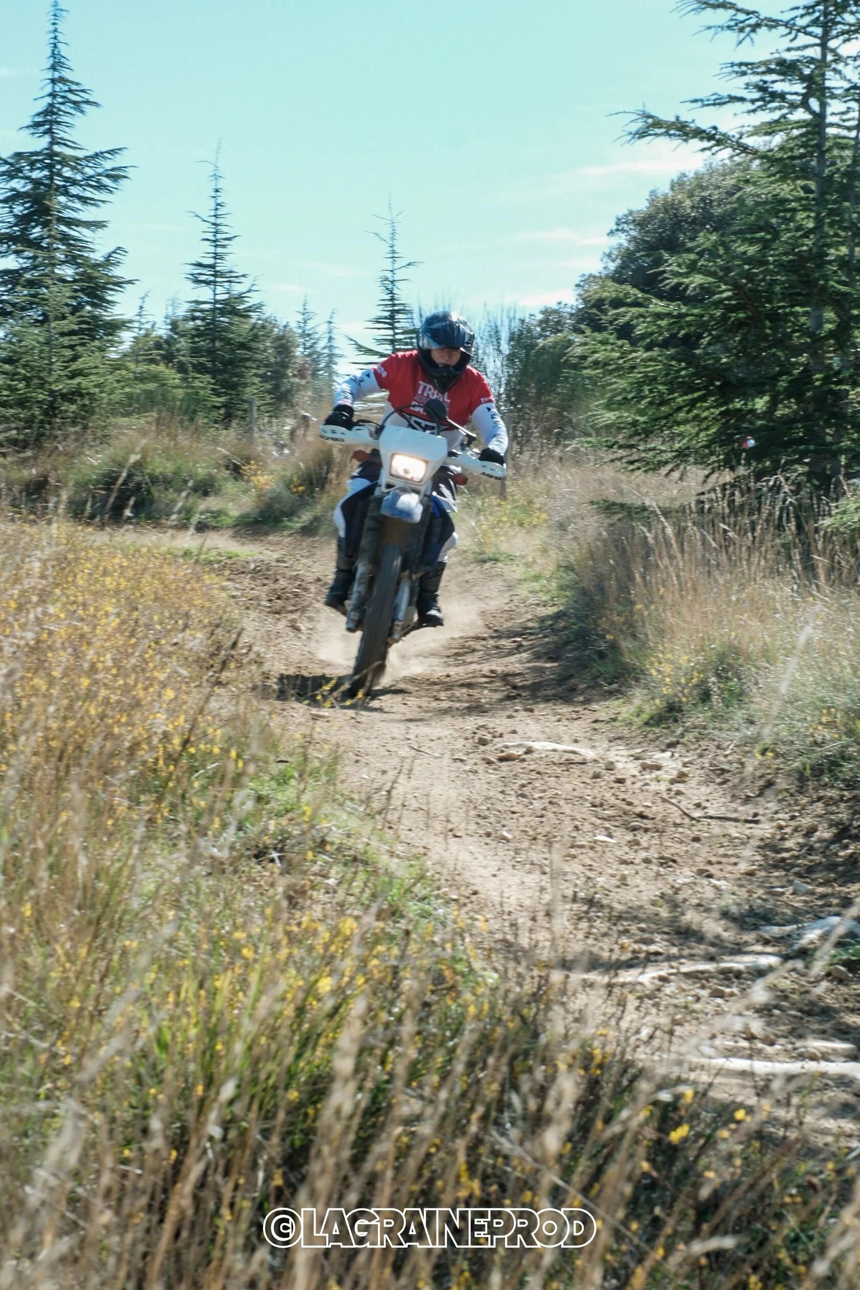 Un motocycliste portant un casque noir et un maillot rouge qui roule sur un sentier de terre dans une forêt avec des arbres verts, en pleine journée ensoleillée.
