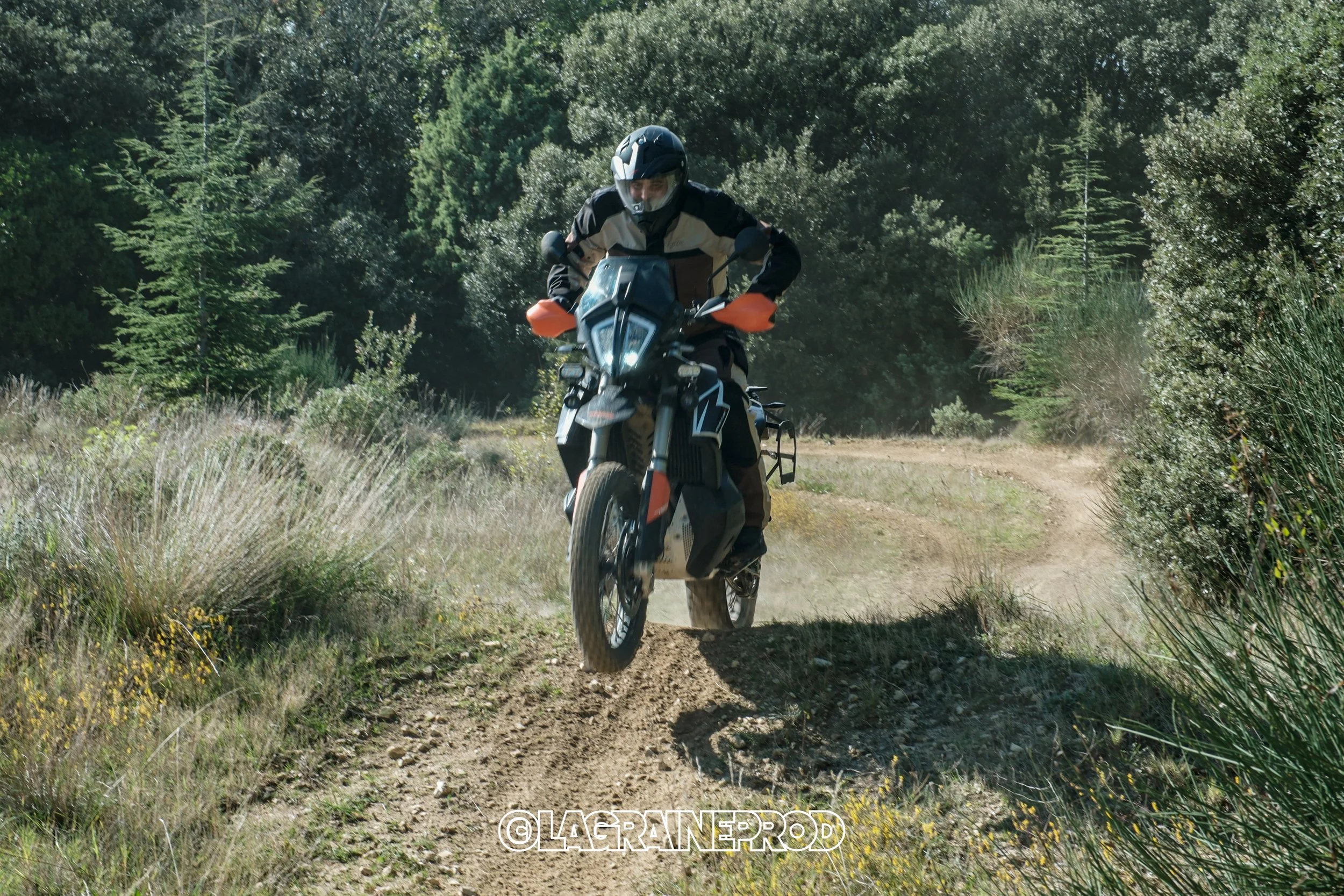 Un rider en moto tout-terrain roule sur un sentier de terre entouré de végétation dense, avec des arbres en arrière-plan.