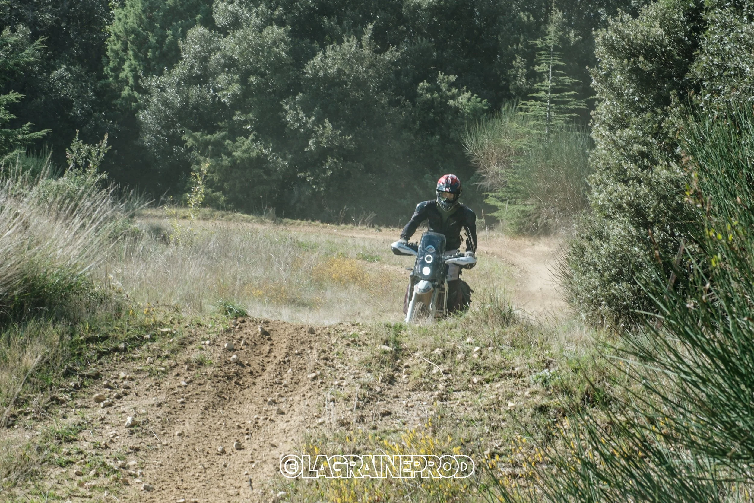 Un motard roulant sur un chemin poussiéreux en pleine nature, entouré d'arbustes et d'arbres. Le motard porte un casque et une veste noire.