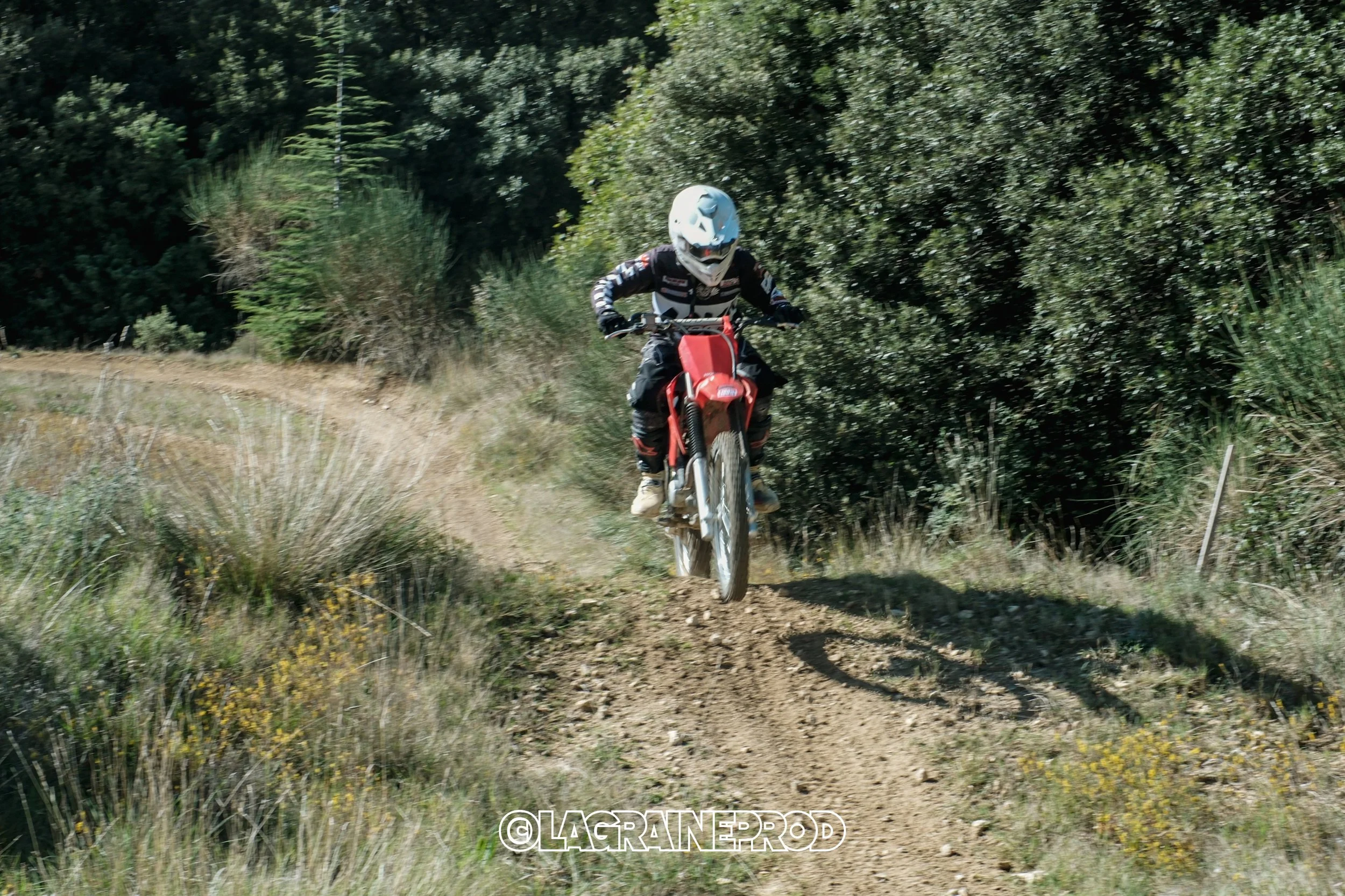 Un cycliste en train de sauter un obstacle sur un sentier de montagne, entouré de végétation verte.