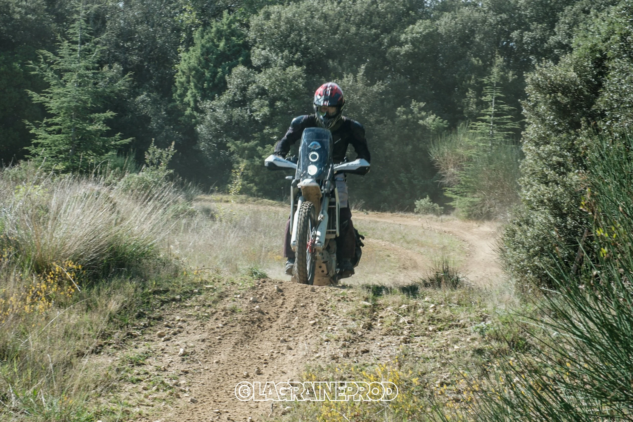 Motocycliste traversant un sentier en pleine nature dans un paysage verdoyant.