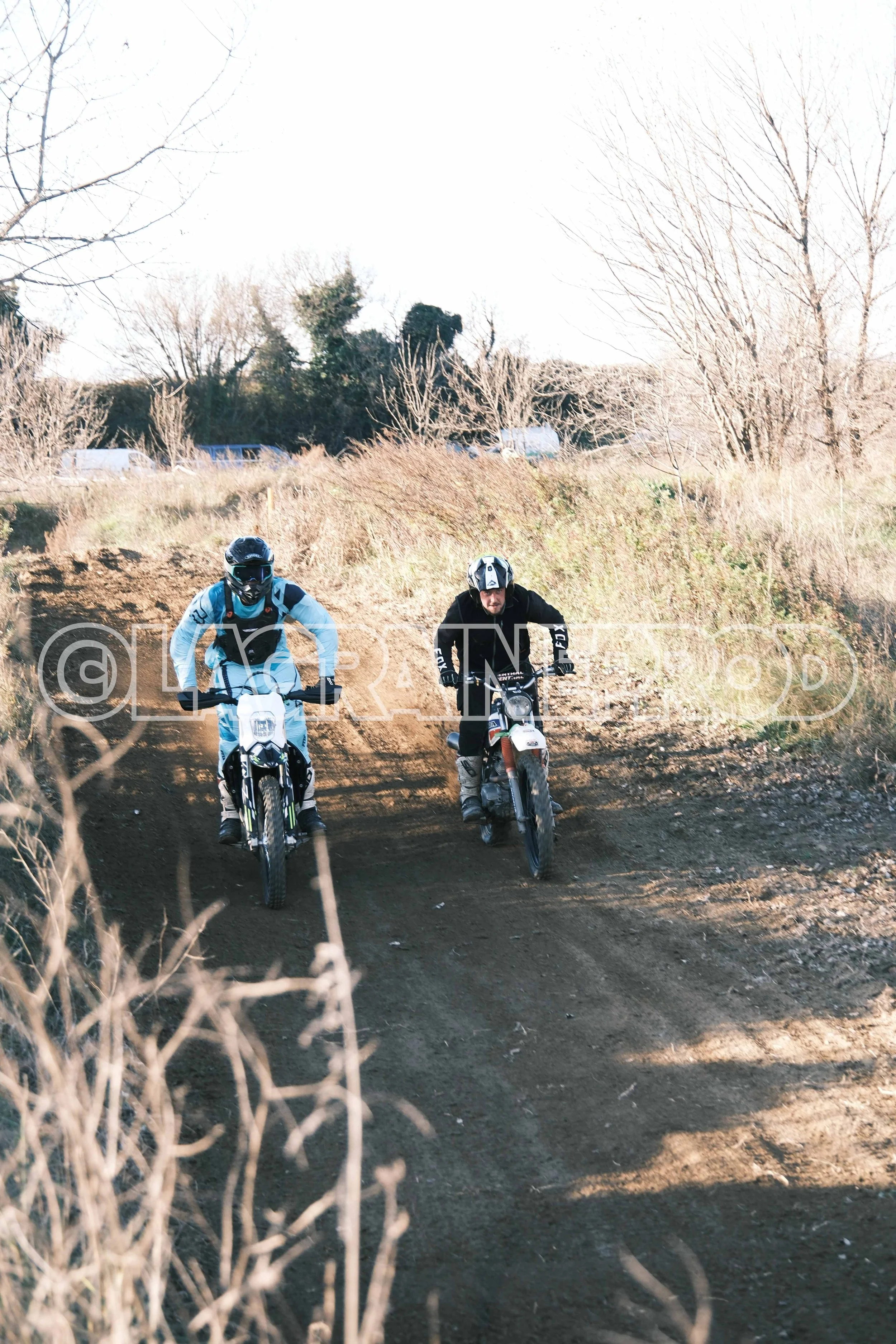 MXCFEST00345.jpg