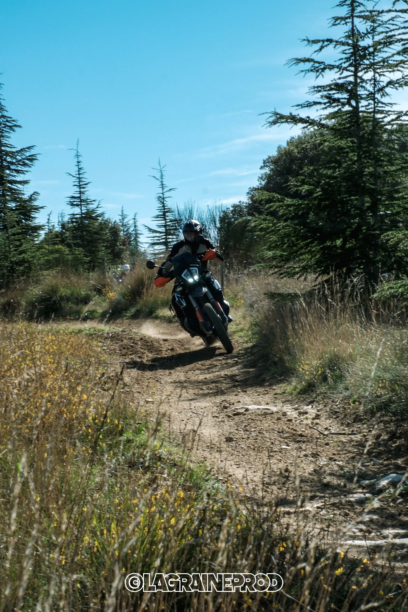 Un motocycliste portant un casque traverse un sentier de terre en forêt, entouré d'arbres verts et de plantes sauvages sous un ciel clair.