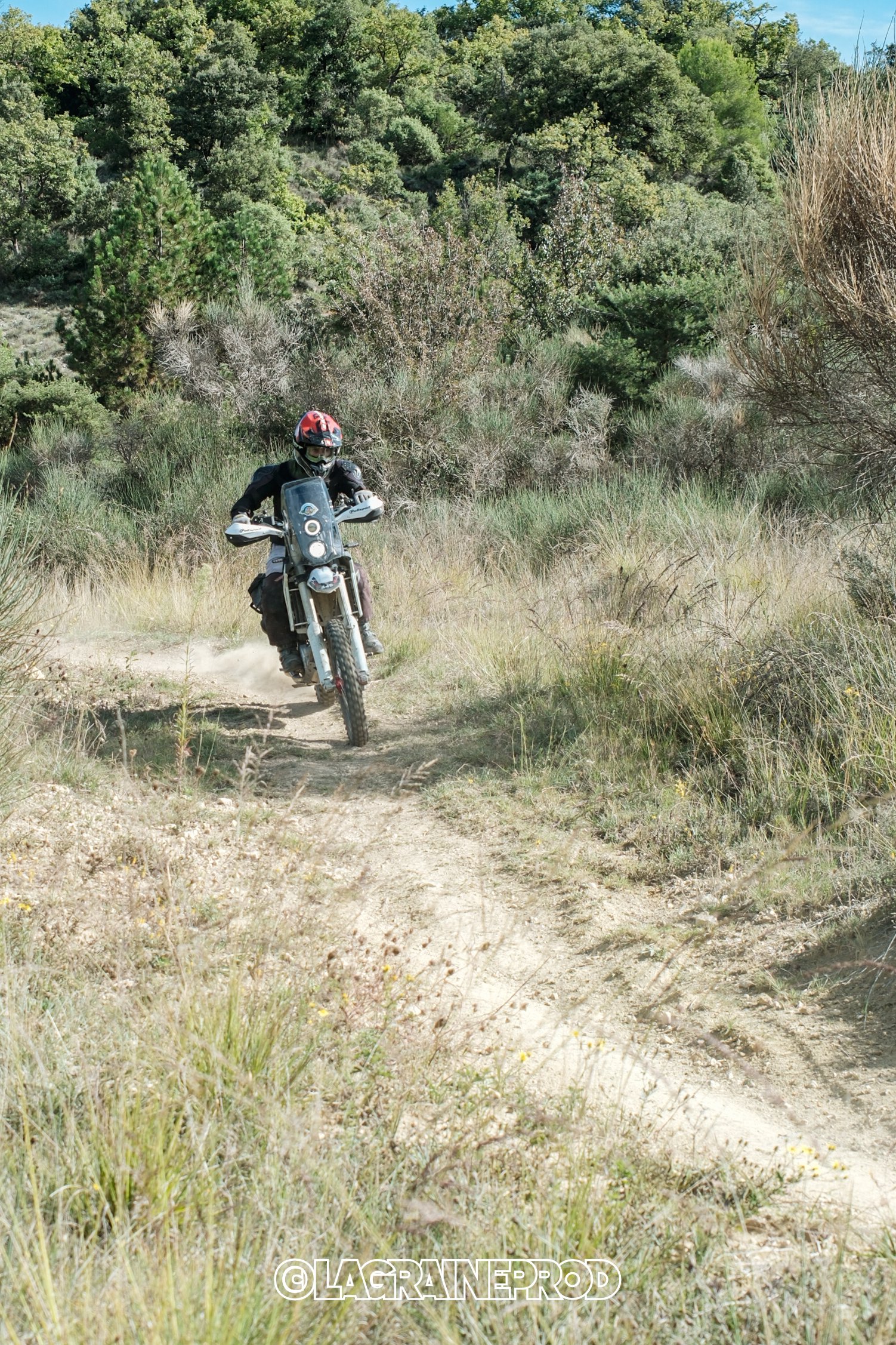 Une personne en moto tout-terrain roulant sur un sentier au milieu de la nature avec des arbres et des buissons verdoyants.