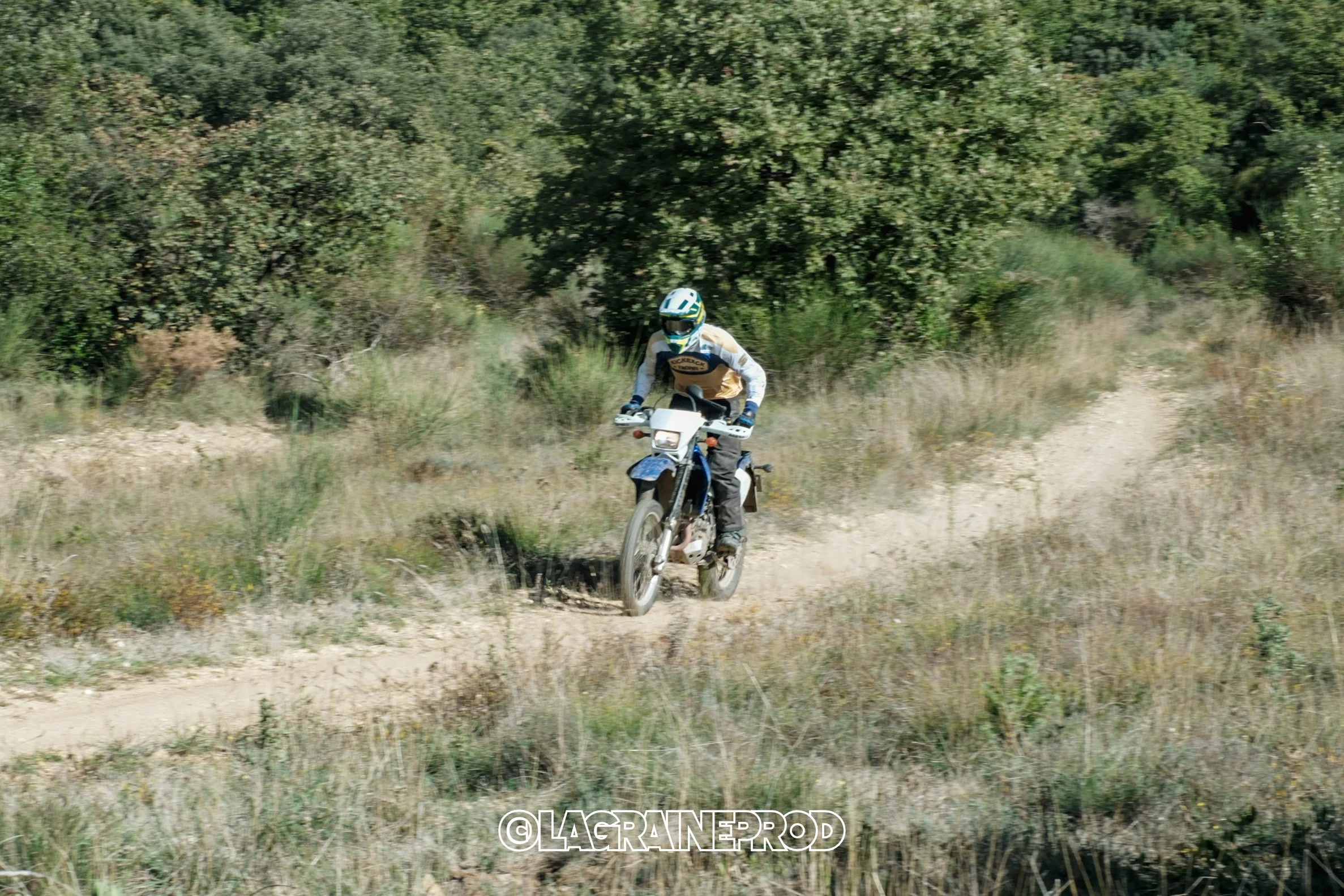 Un motocycliste portant un casque et une protection, roulant sur un sentier à travers un paysage naturel avec des buissons et des arbres.
