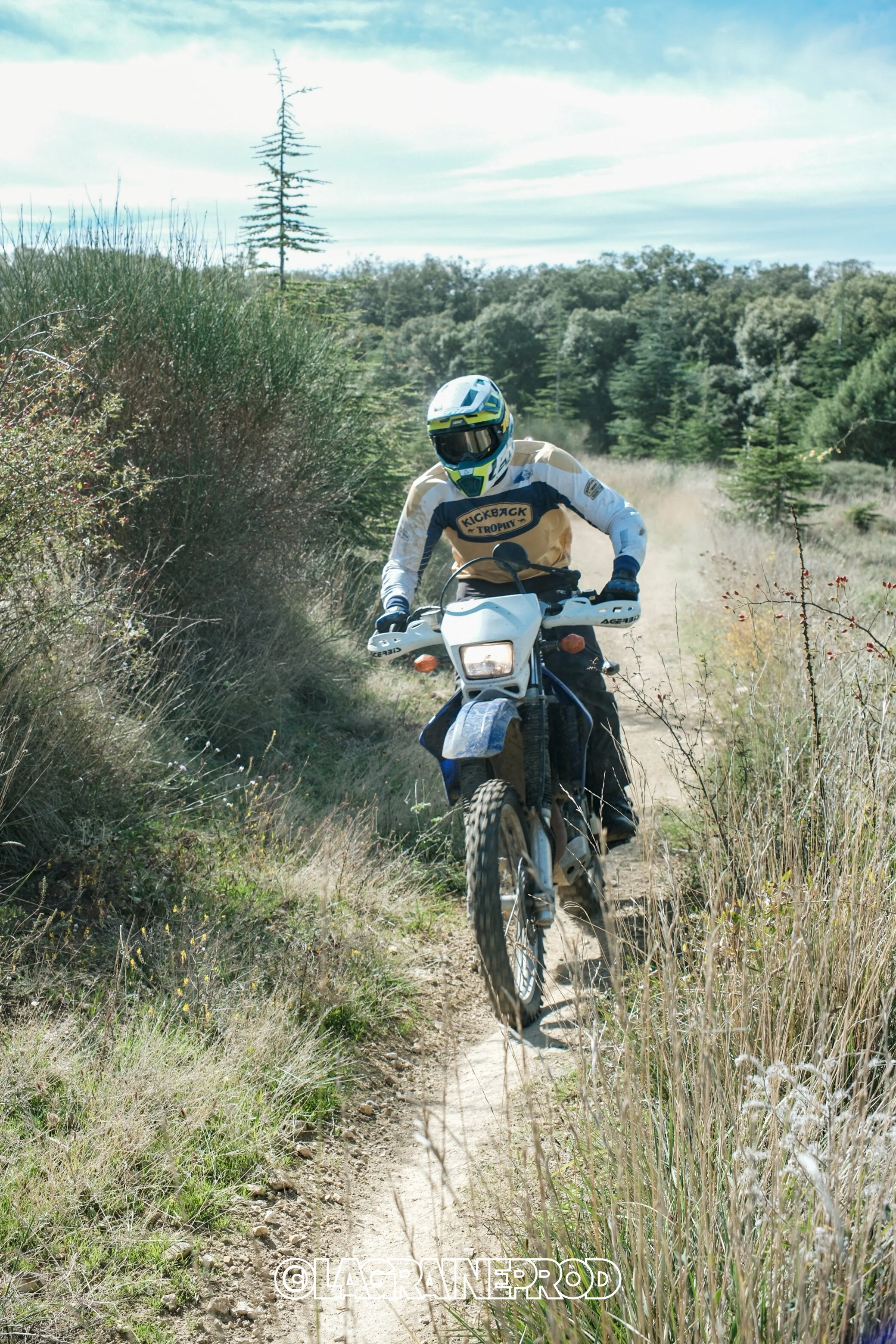 Motard portant un casque et un équipement de protection, roulant sur un sentier de terre à travers la végétation et des arbustes, avec un paysage forestier en arrière-plan.