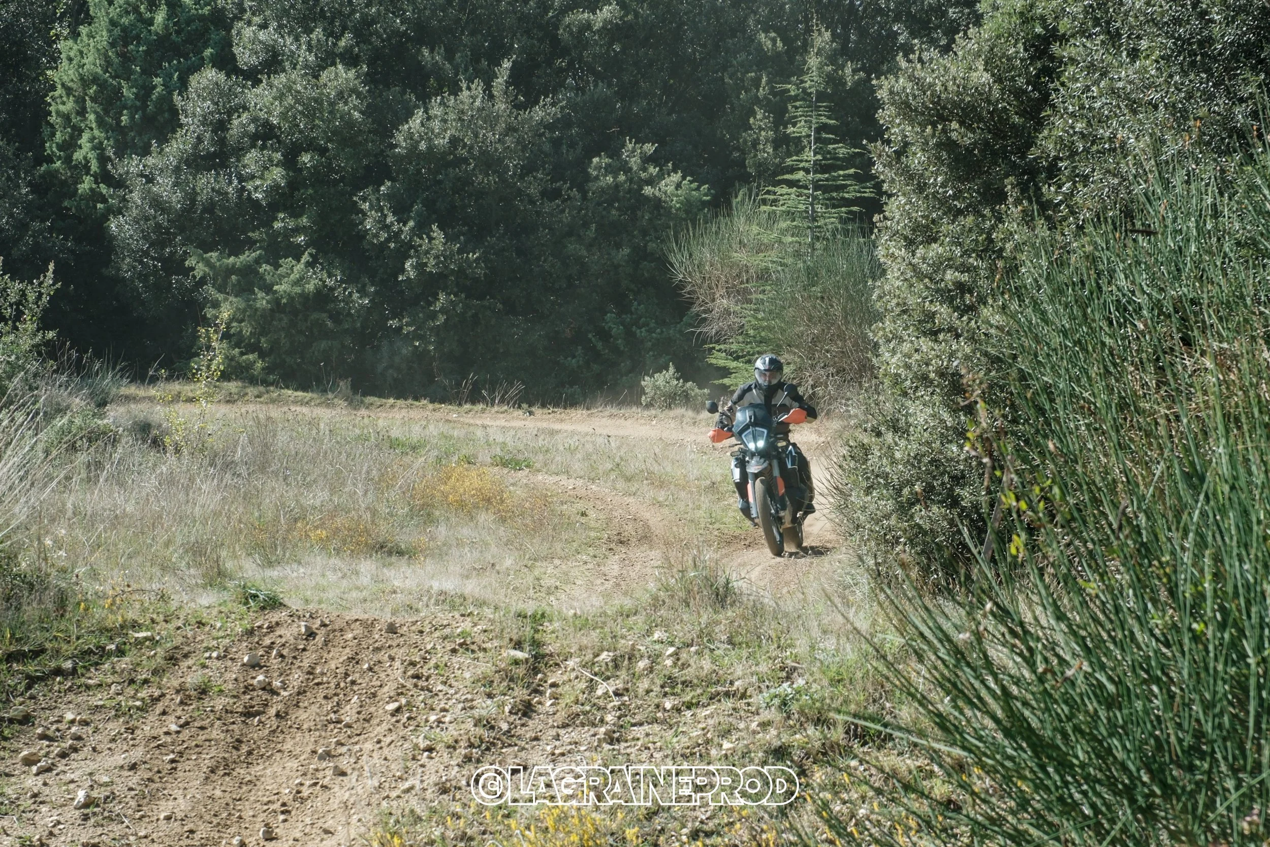 Un motard portant un casque et un équipement de protection, roulant sur un chemin de terre à travers une zone boisée.