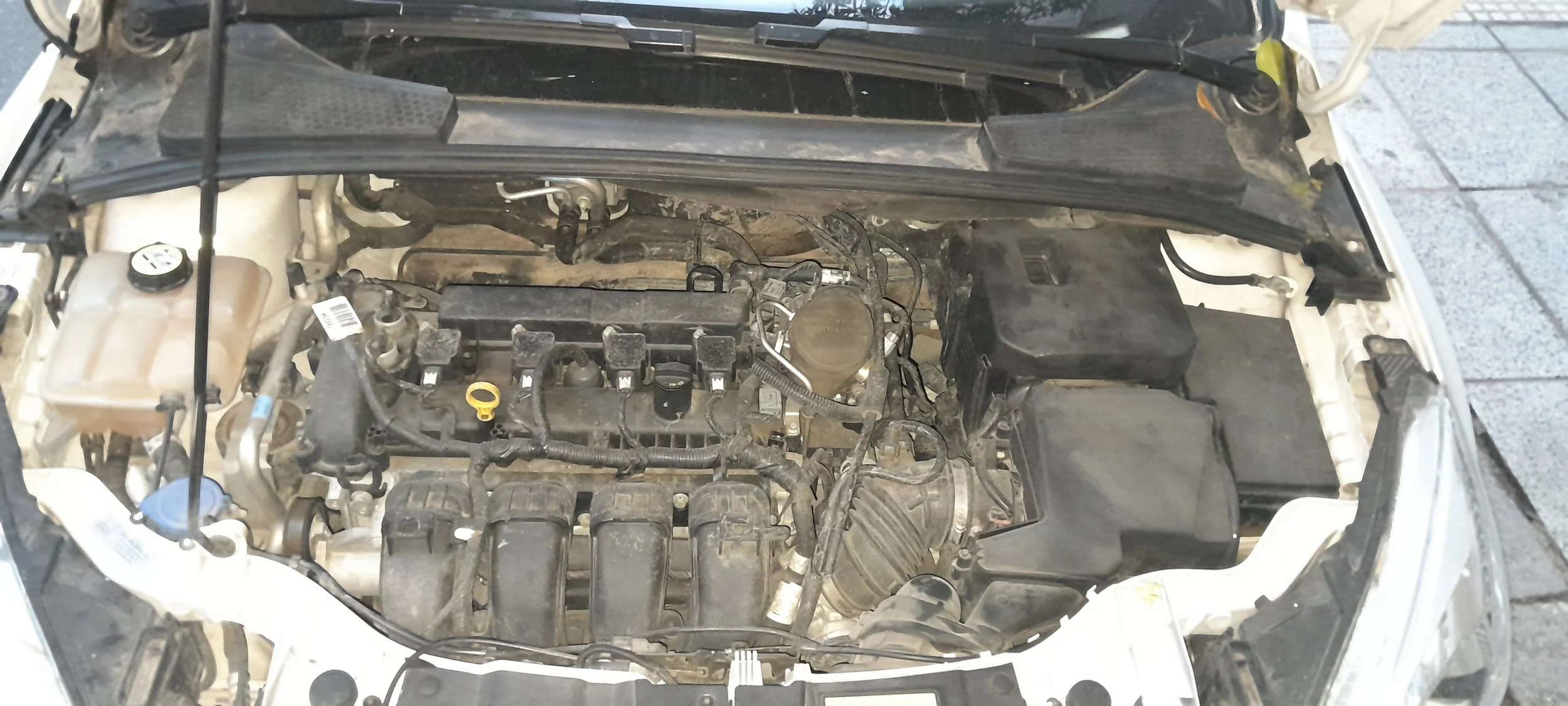 Seccion Motor