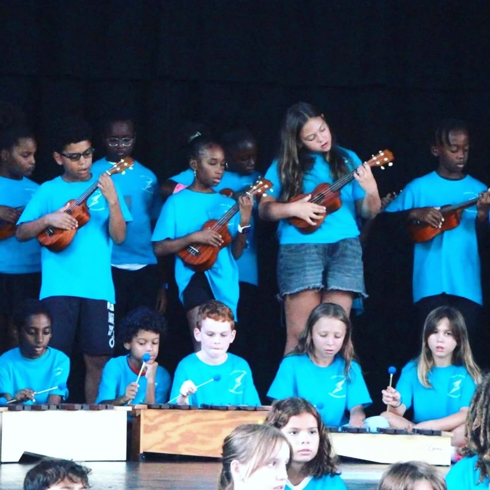 🔹🤩 MONTESSORI MUSICALE 2026 🤩🔹
Featuring full-day Primary, Lower and Upper Elementary 

View more photos on our Facebook page!