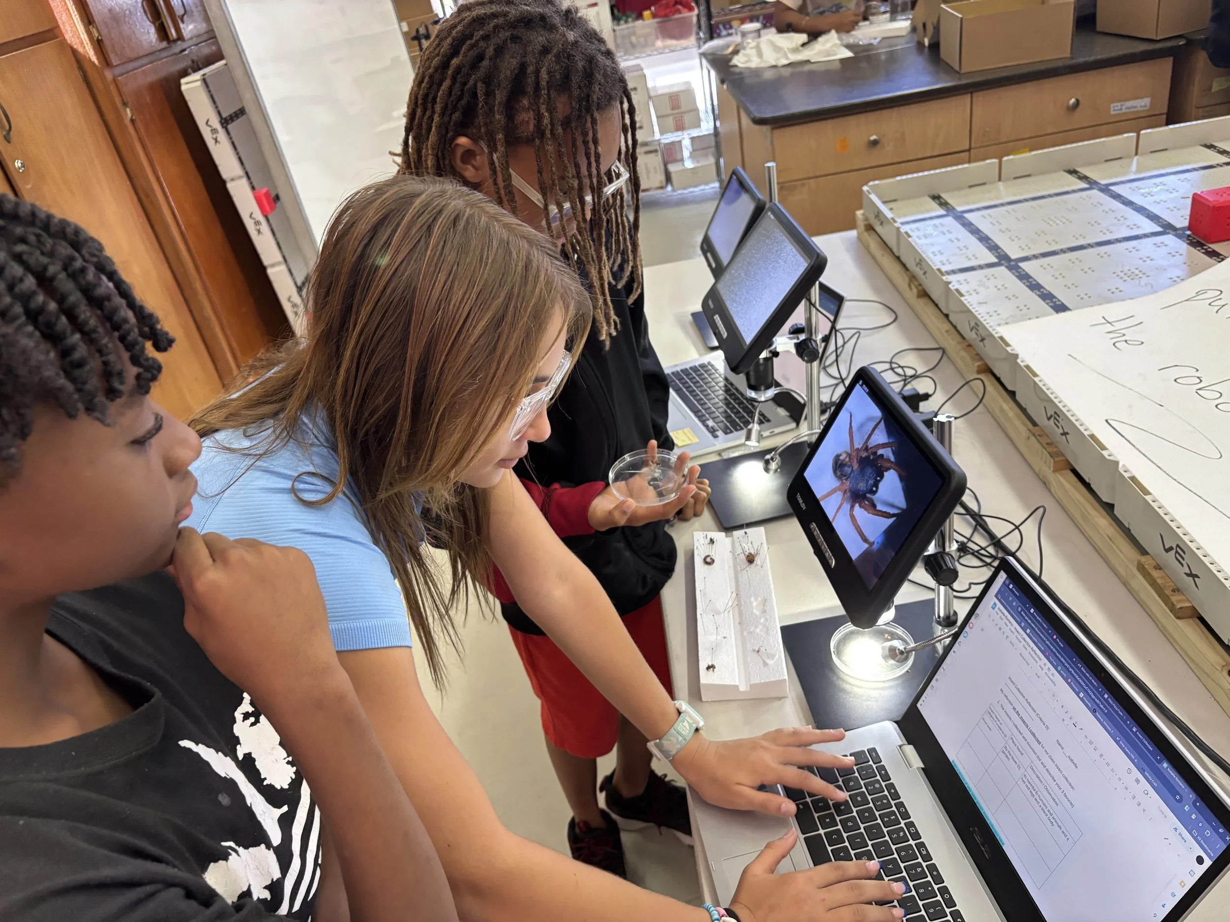 Three students observing a laptop screen displaying an image of a spider and working on a chemistry lab project in a classroom.