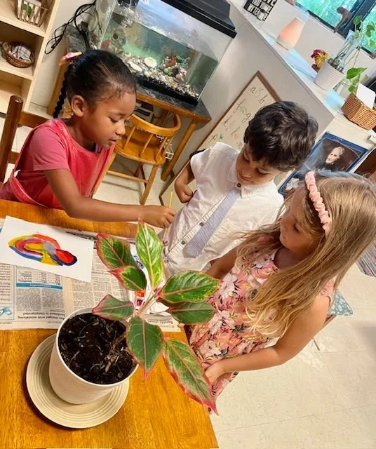 Three children gather around a potted plant with colorful leaves on a wooden table, examining a rainbow-colored drawing.