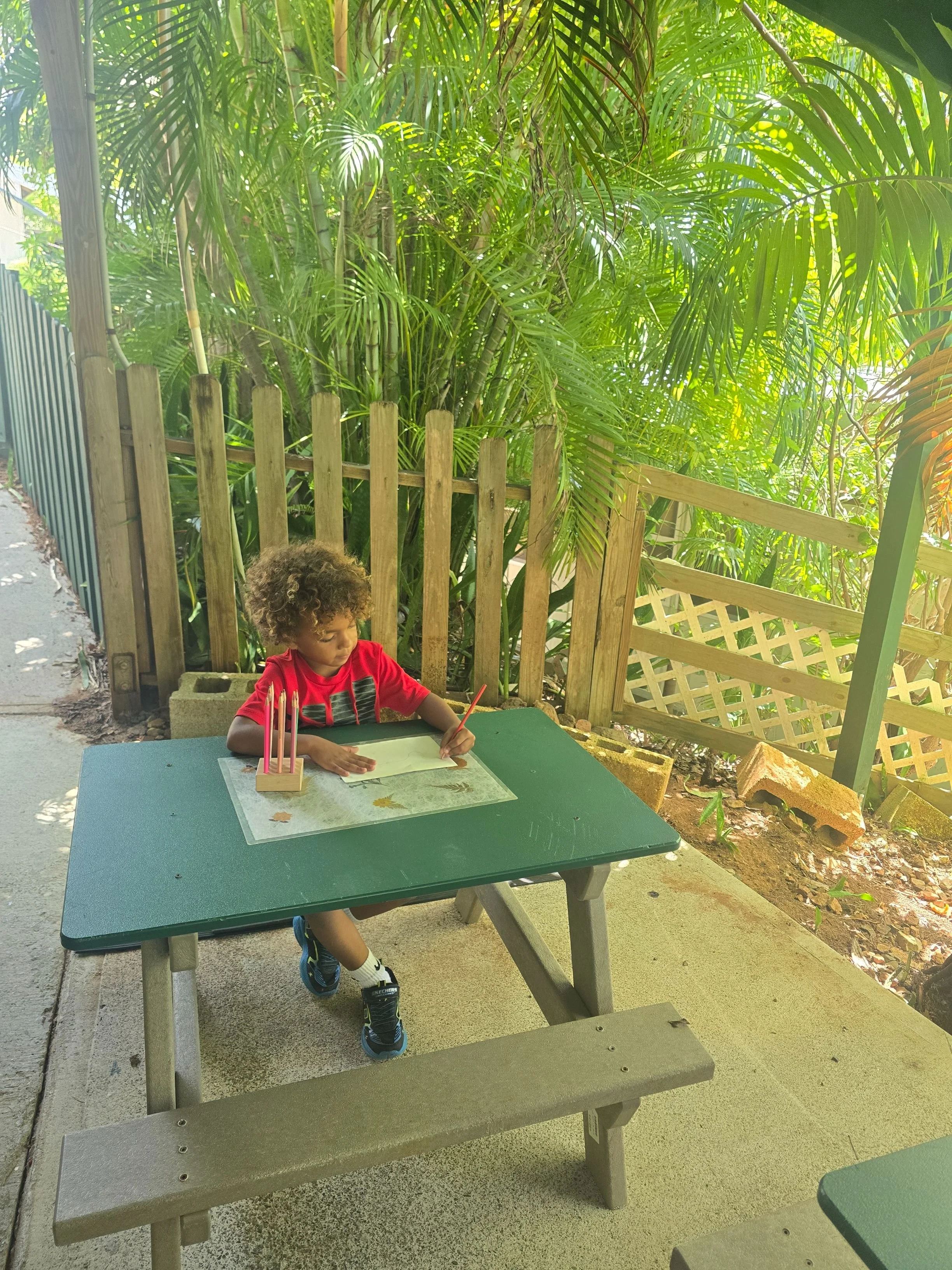 A young child with curly hair is sitting at an outdoor table, drawing on paper with a red colored pencil. The table has a holder with pink colored pencils. The background features dense green tropical foliage and a wooden fence.